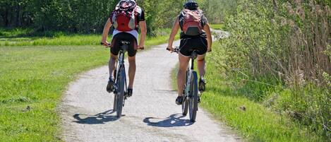 Two cyclists on a rural dirt road surrounded by greenery.