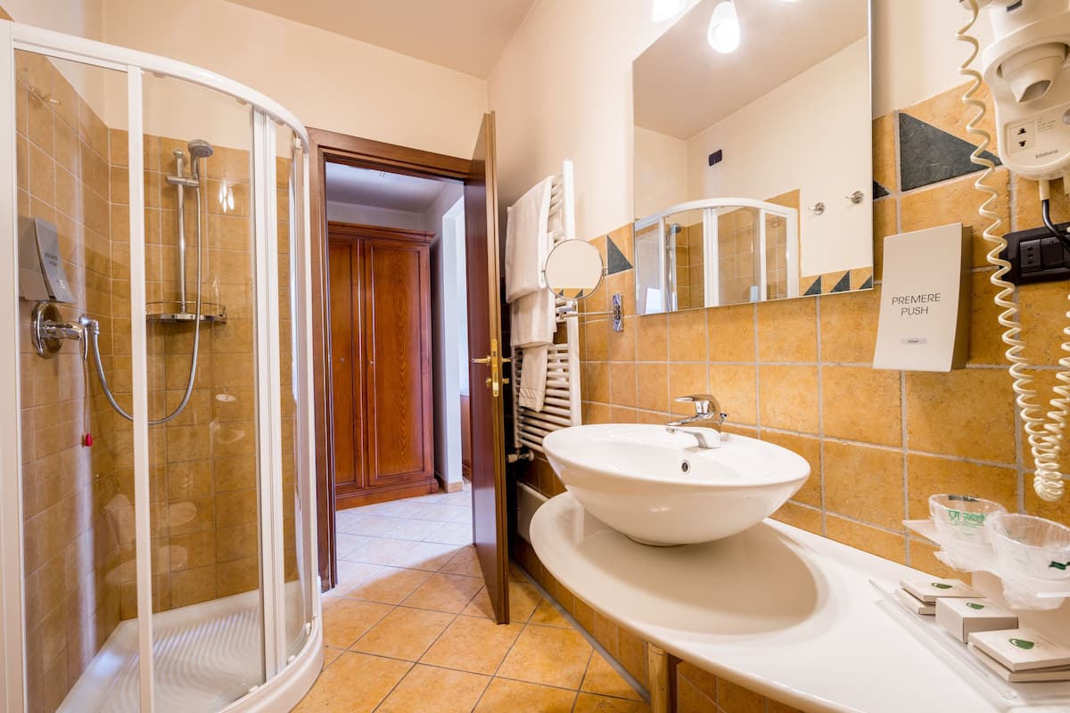 shower, rainfall showerhead, free toiletries, hair dryer