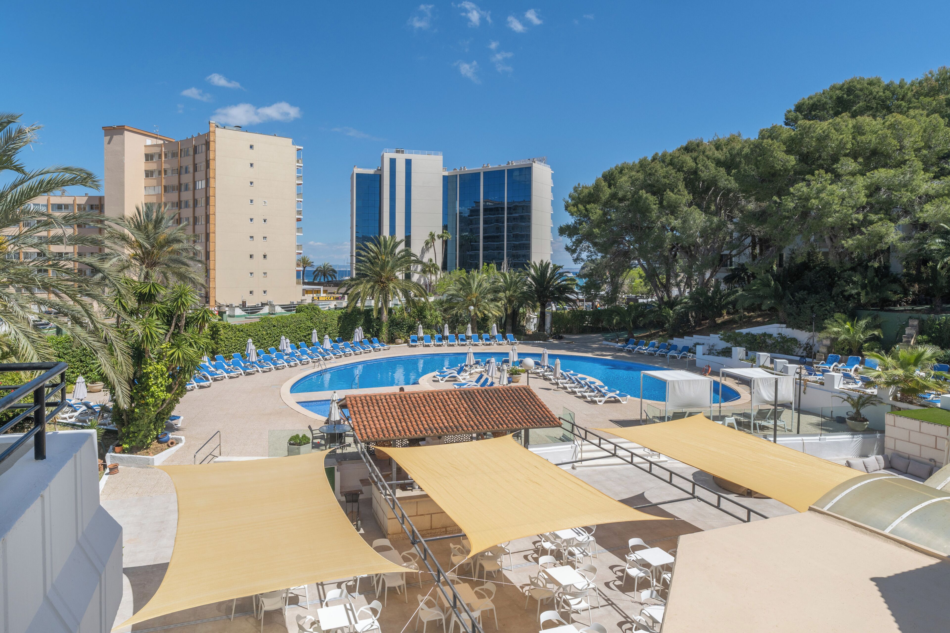 Un área de piscina en la azotea con sillones de descanso y sombrillas, rodeada de palmeras y edificios.