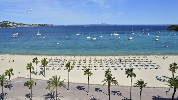 A beach with numerous boats, a sandy shore, and palm trees.