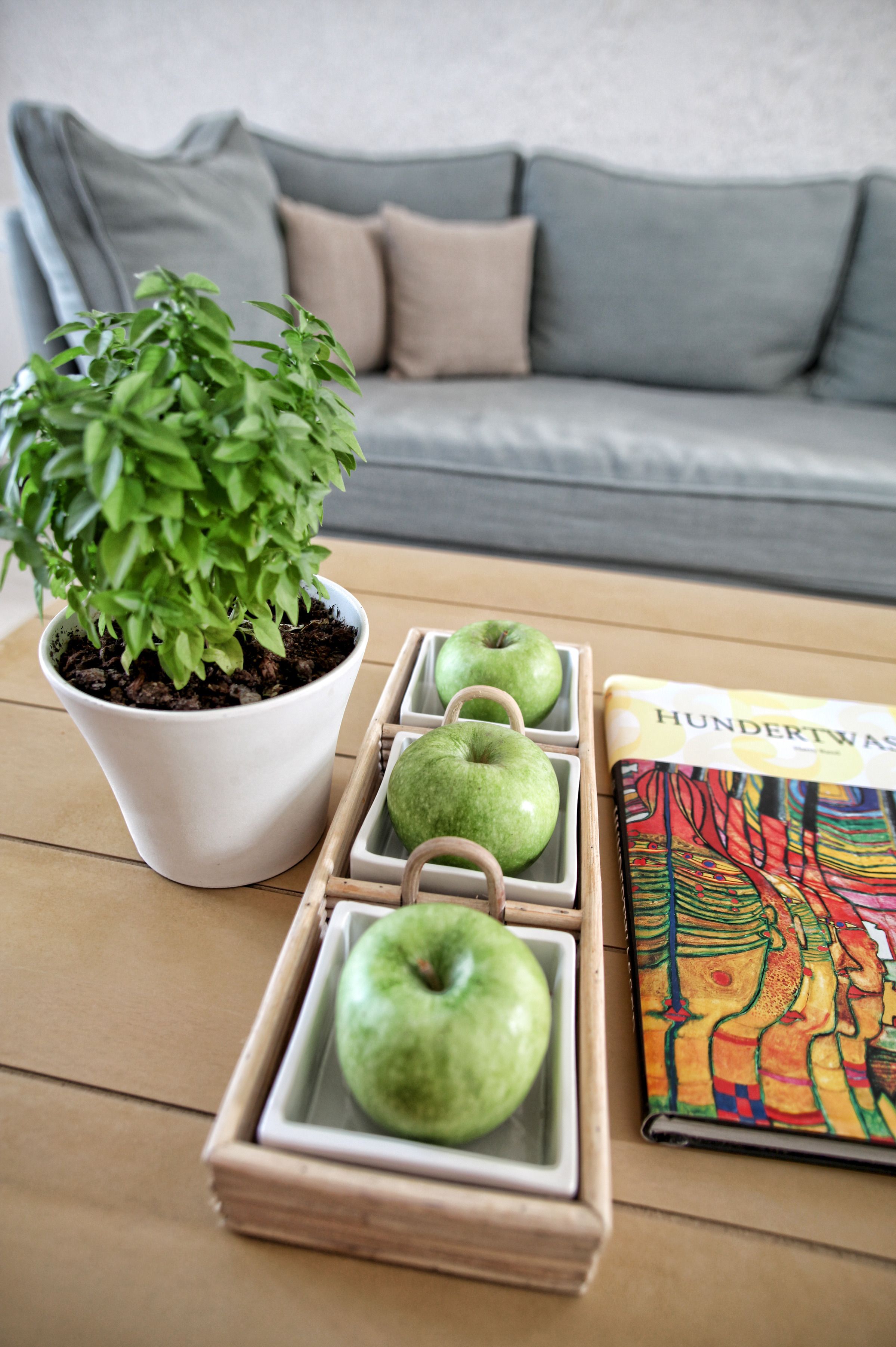 Una planta en maceta, una bandeja con manzanas y un libro sobre una mesa de madera.