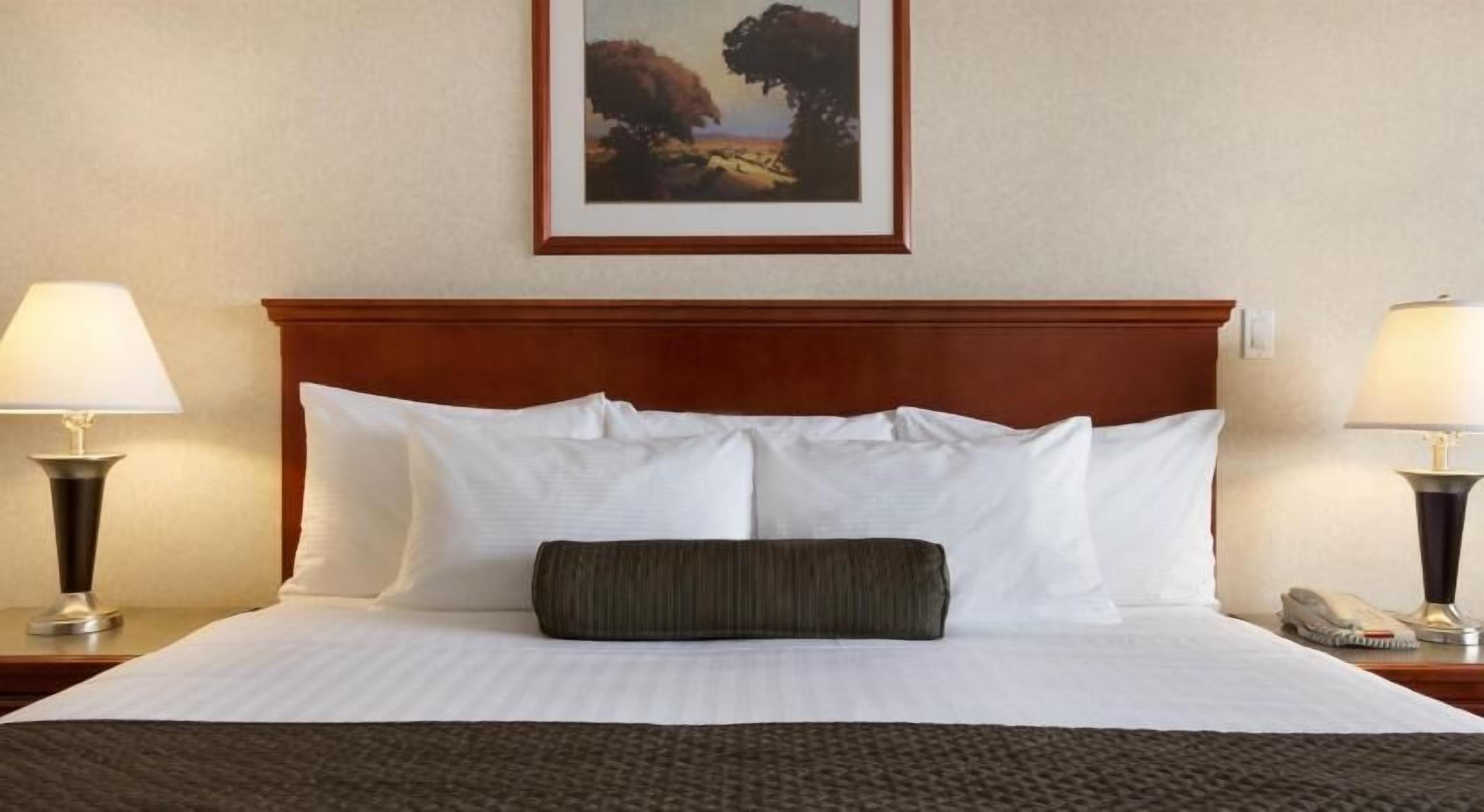 Skrivbord, strykjärn/strykbräda, gratis wi-fi och sängkläder