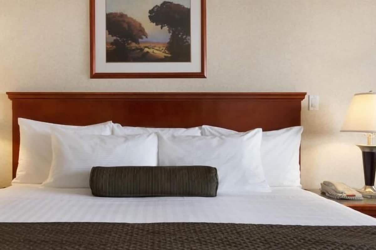Una habitación de hotel con una cama grande, dos lámparas de noche, un cuadro enmarcado en la pared y un cabecero de madera.