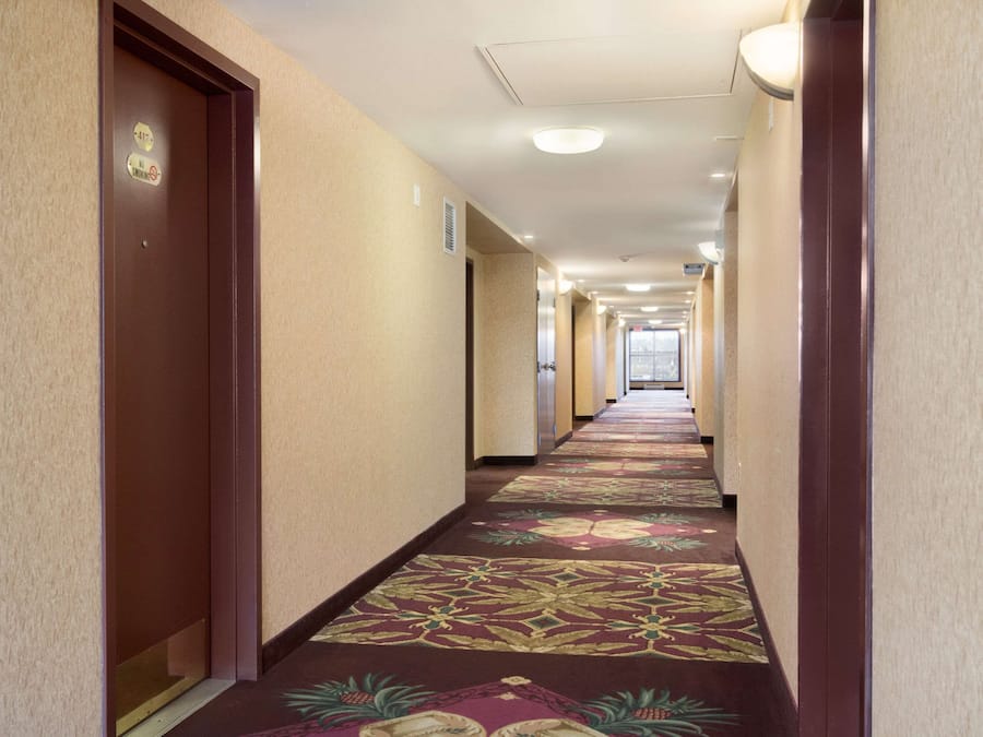 A hotel hallway with carpeted floors, doors, and a long corridor.