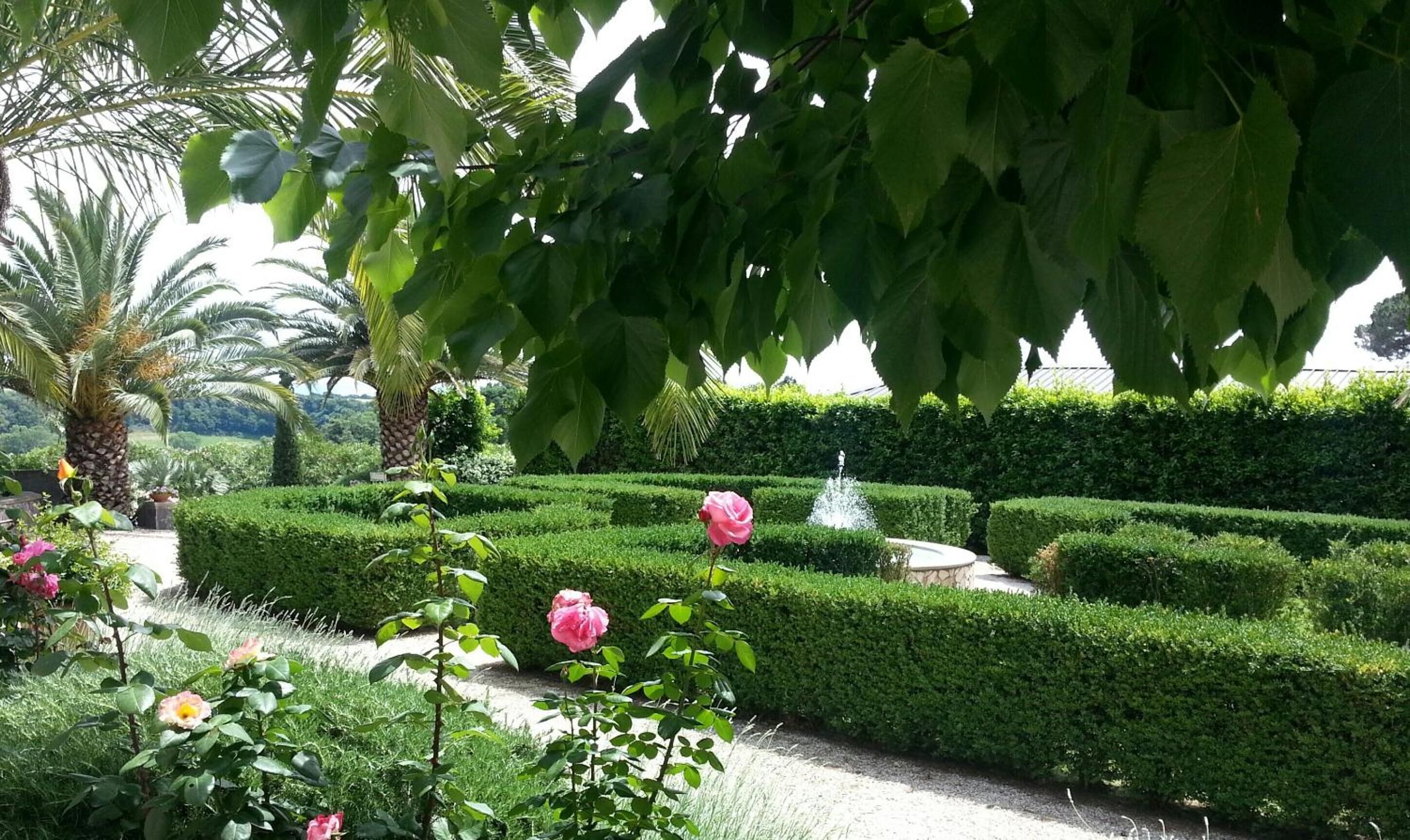 A well-maintained garden with neatly trimmed hedges, a palm tree, and blooming roses.