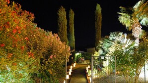 Een verlicht tuinpad 's nachts, met lantaarns, hoge bomen en een metalen poort.