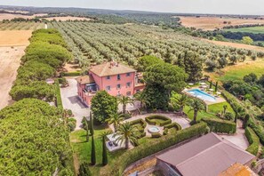 Una casa grande rodeada de olivares, con piscina y jardines cuidados.