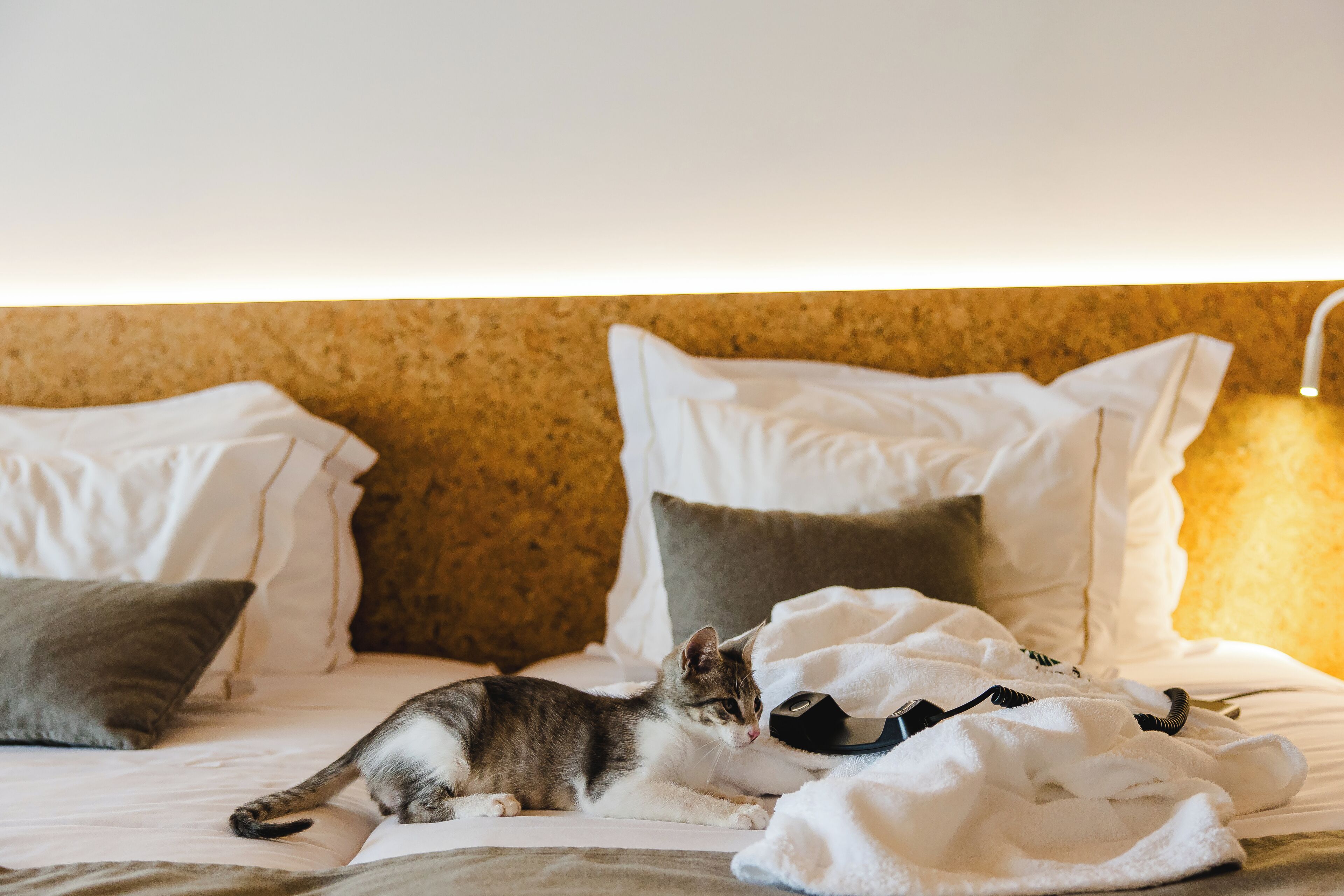 Foto - Canadiano Urban Nature Hotel