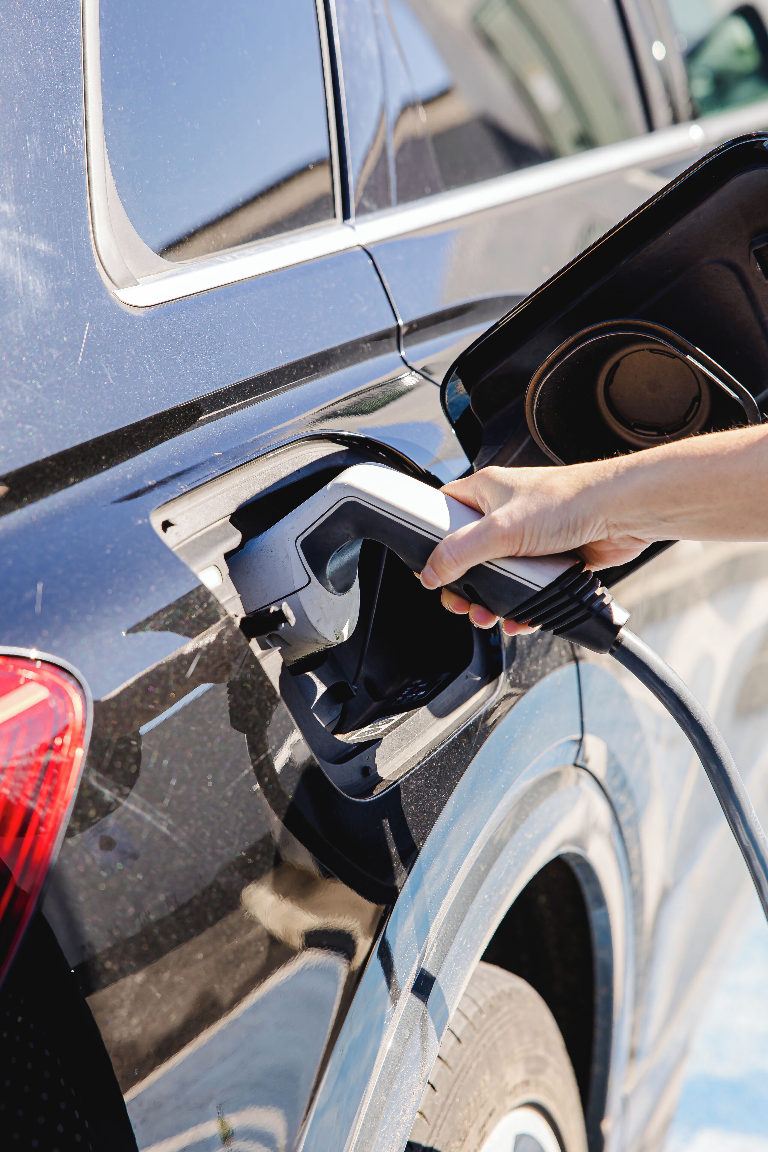 Foto - Canadiano Urban Nature Hotel