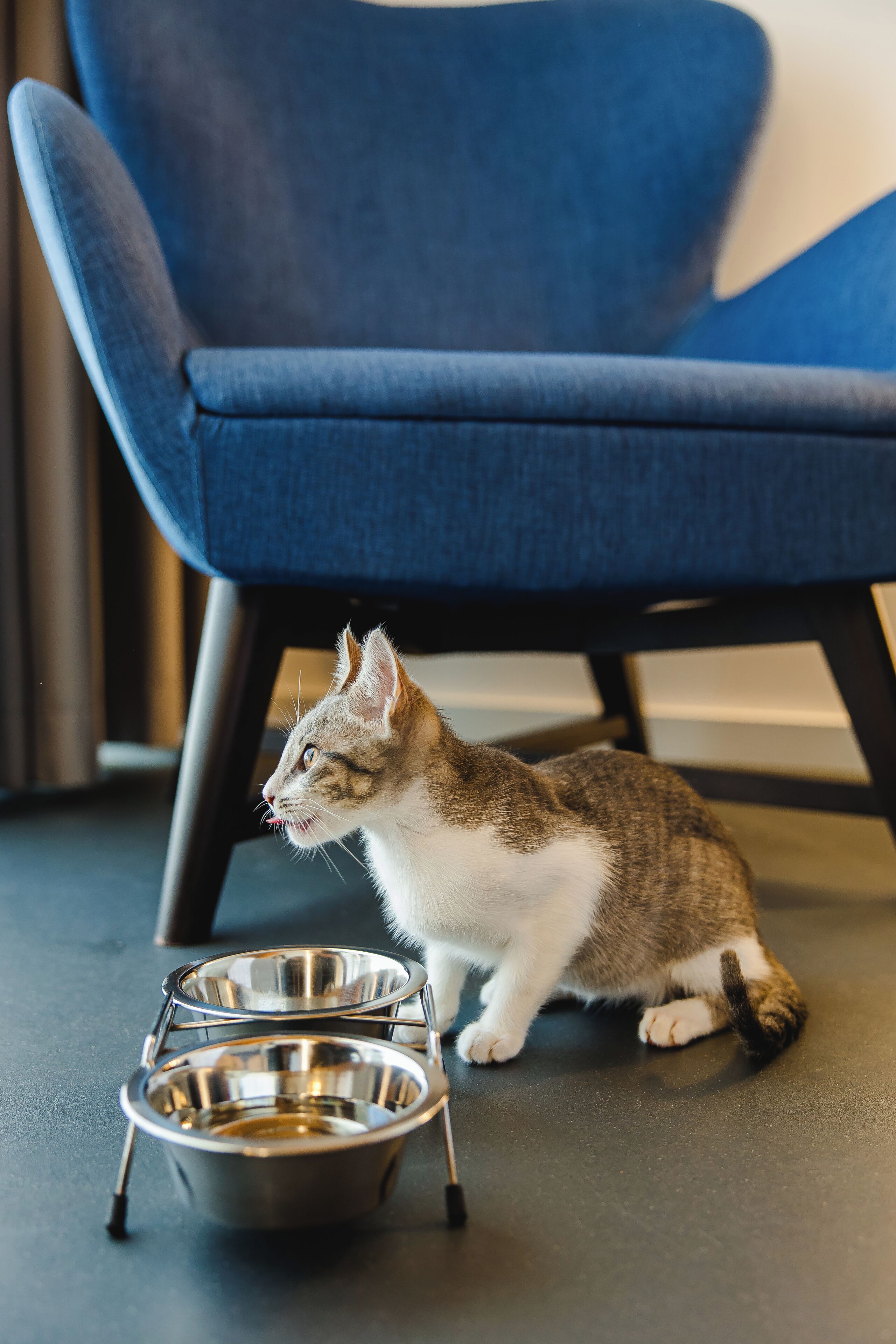 Foto - Canadiano Urban Nature Hotel