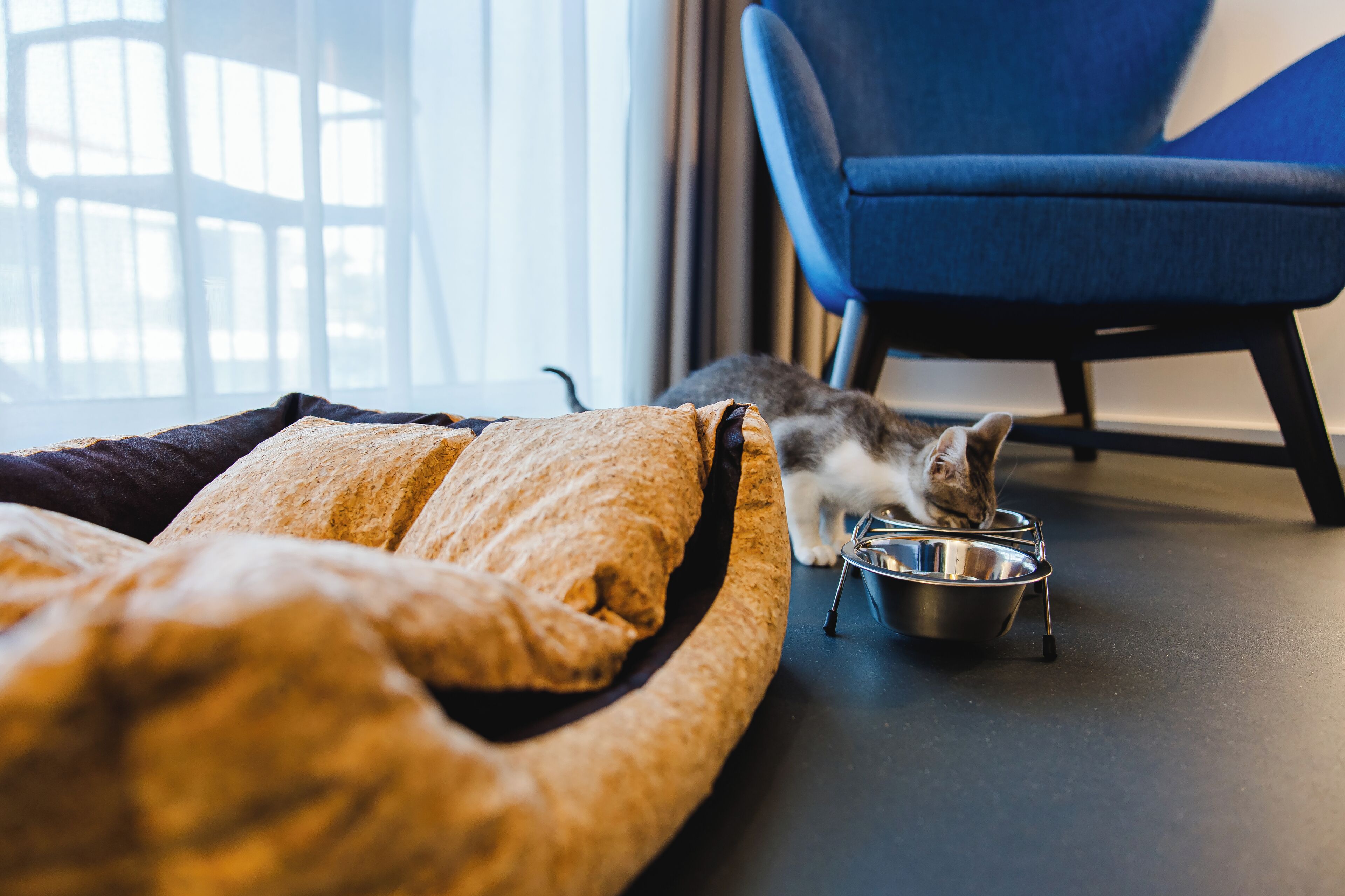 Foto - Canadiano Urban Nature Hotel