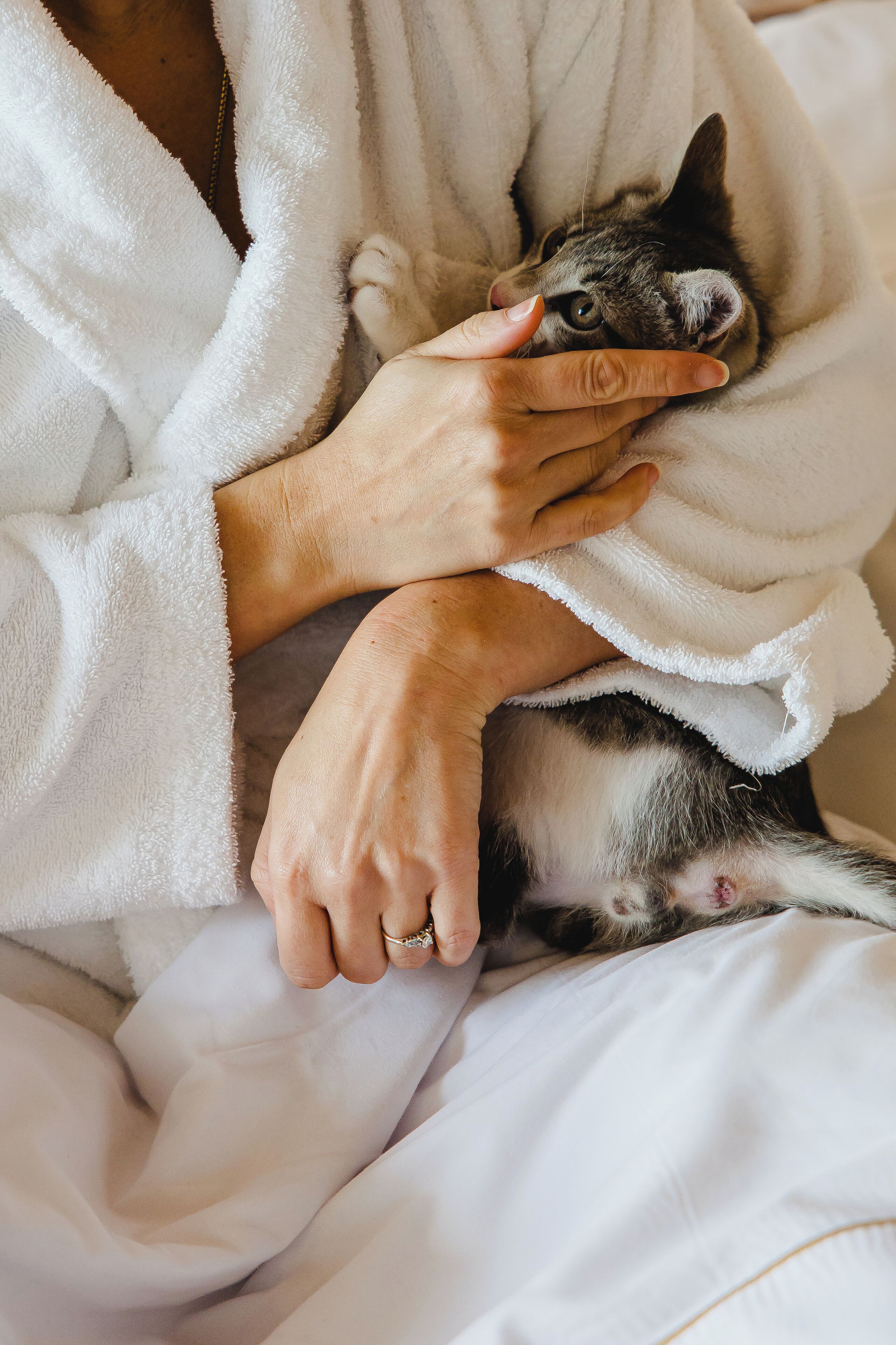 Foto - Canadiano Urban Nature Hotel