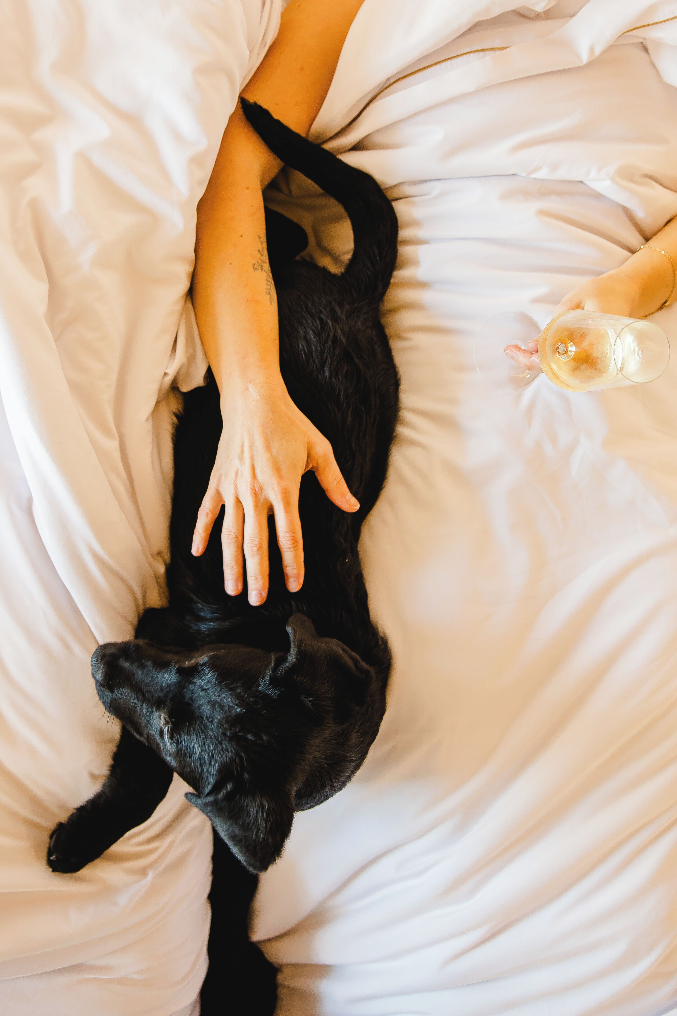 Foto - Canadiano Urban Nature Hotel