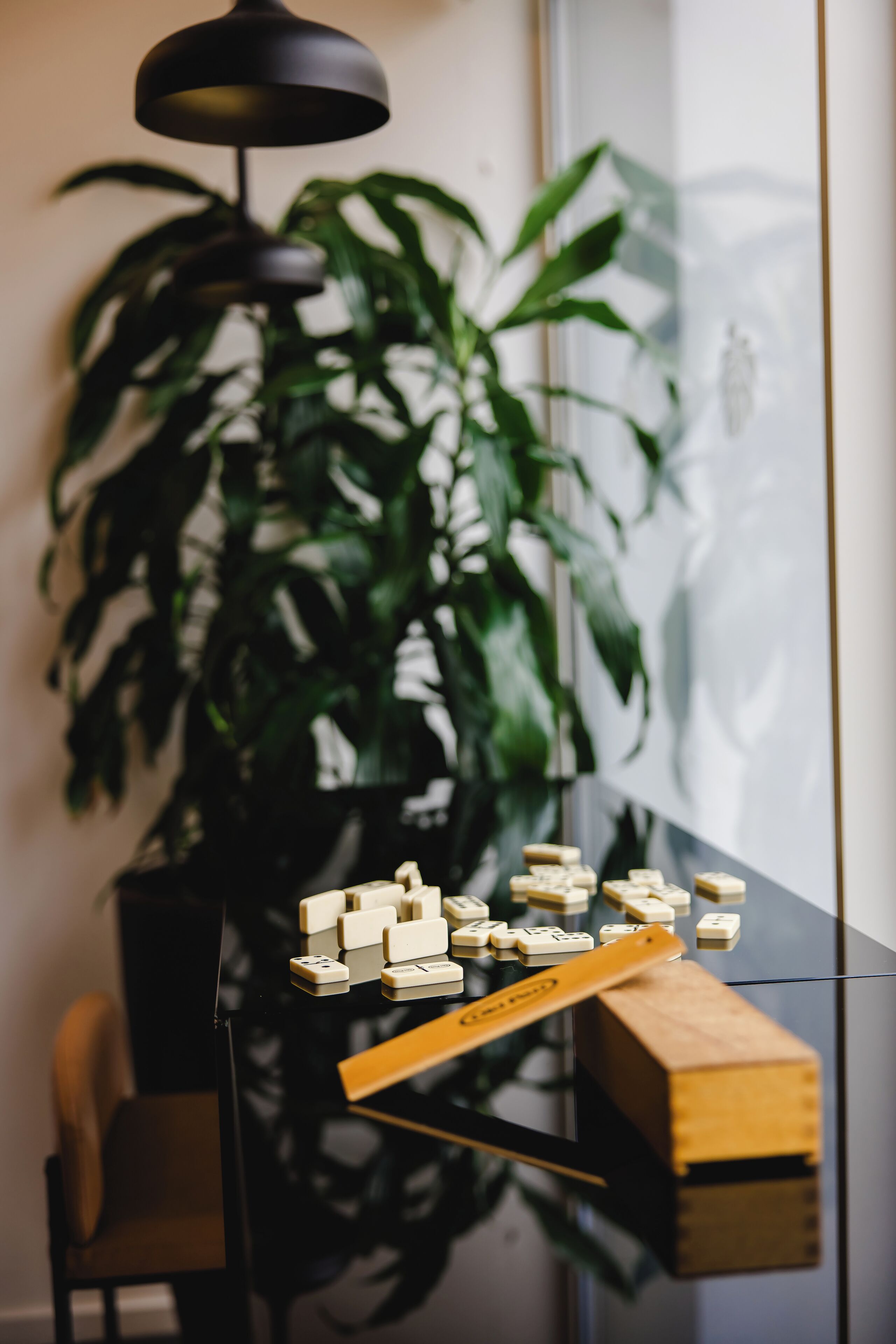 A room with a desk, a potted plant, and a window.