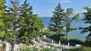 A coastal resort with beach chairs and umbrellas, surrounded by tall trees and overlooking the sea.