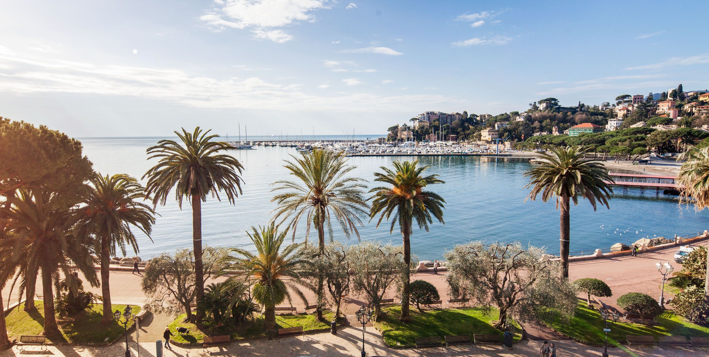 Un paisaje urbano costero con un puerto deportivo, palmeras y un paseo marítimo.