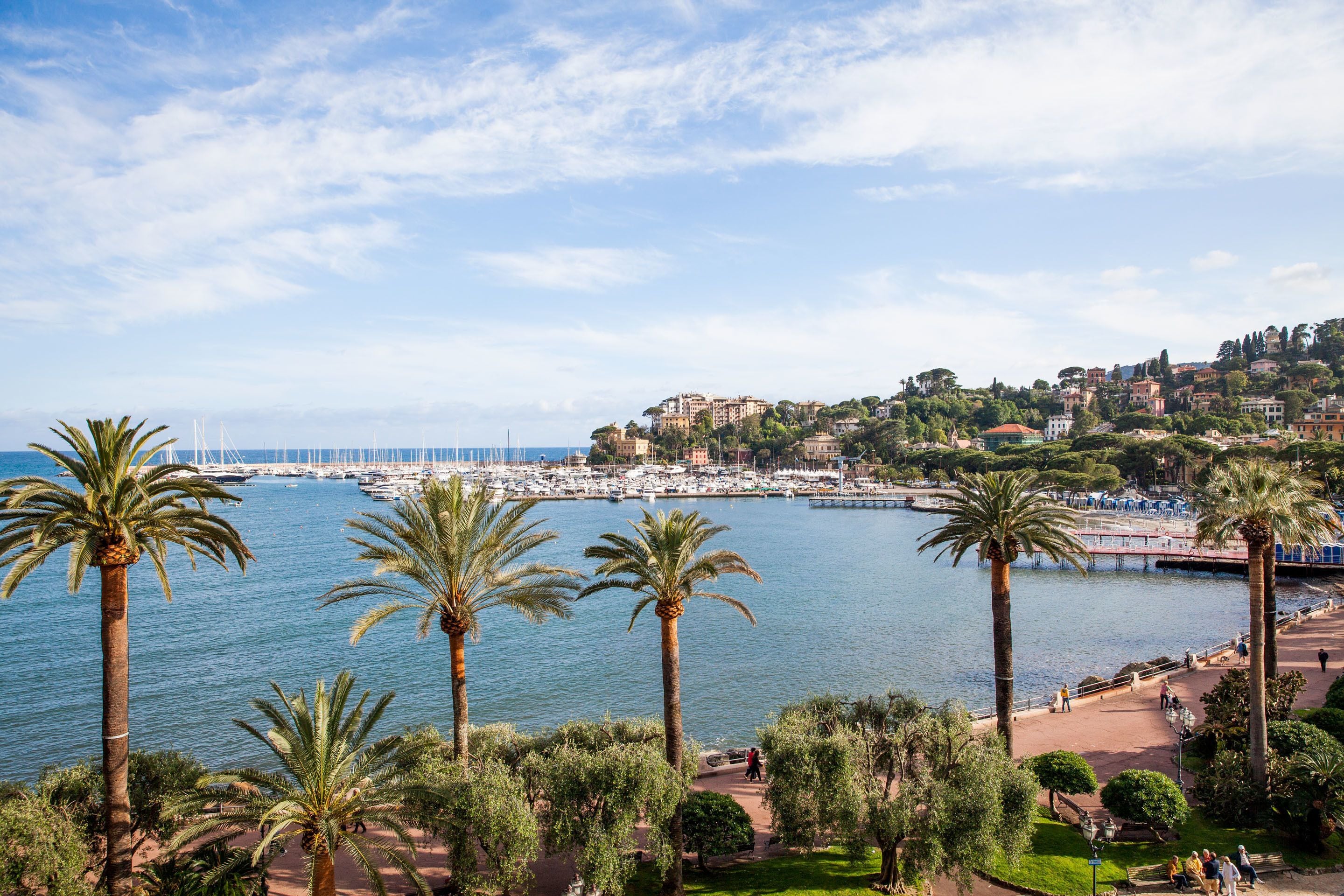A coastal town with a marina, palm trees, and a park with a walking path.
