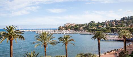 A coastal town with a marina, palm trees, and a park with a walking path.