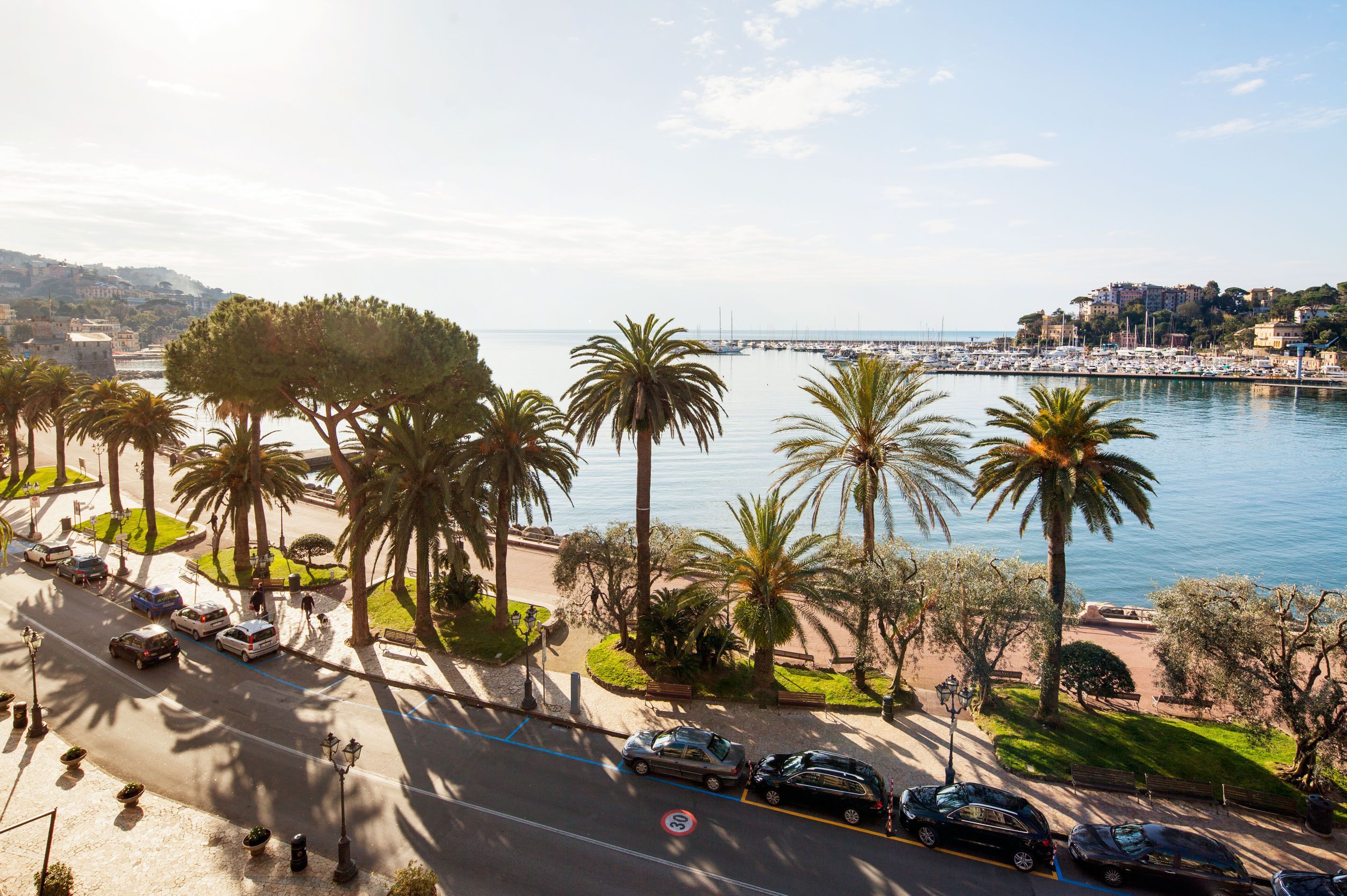 A coastal road with palm trees, a marina, and a bridge in the background.