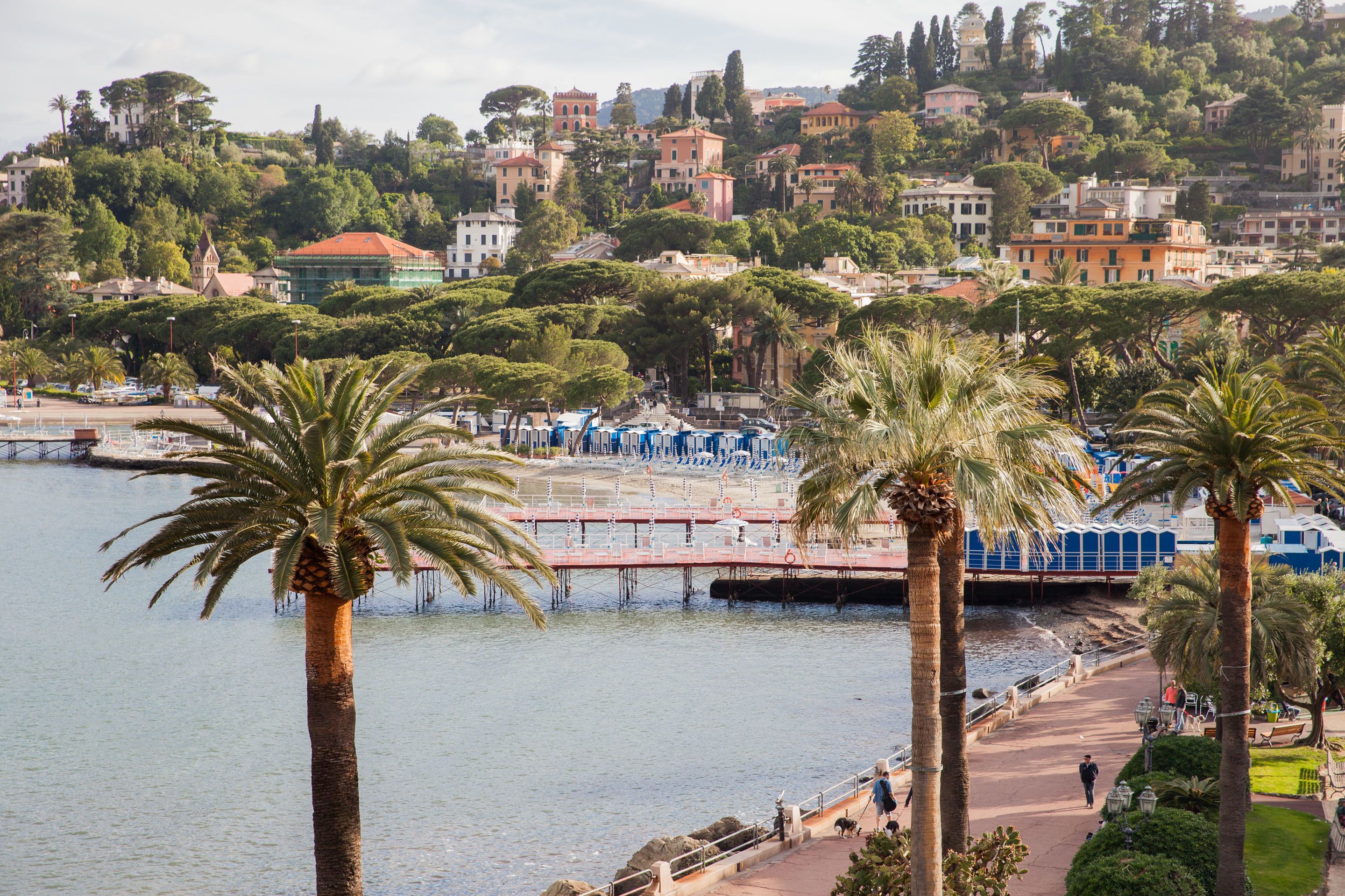 A coastal cityscape with a prominent bridge, palm trees, and a marina.