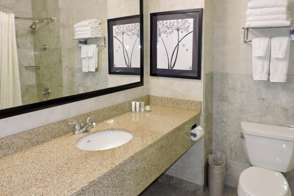 combined shower/bathtub, free toiletries, hair dryer, towels