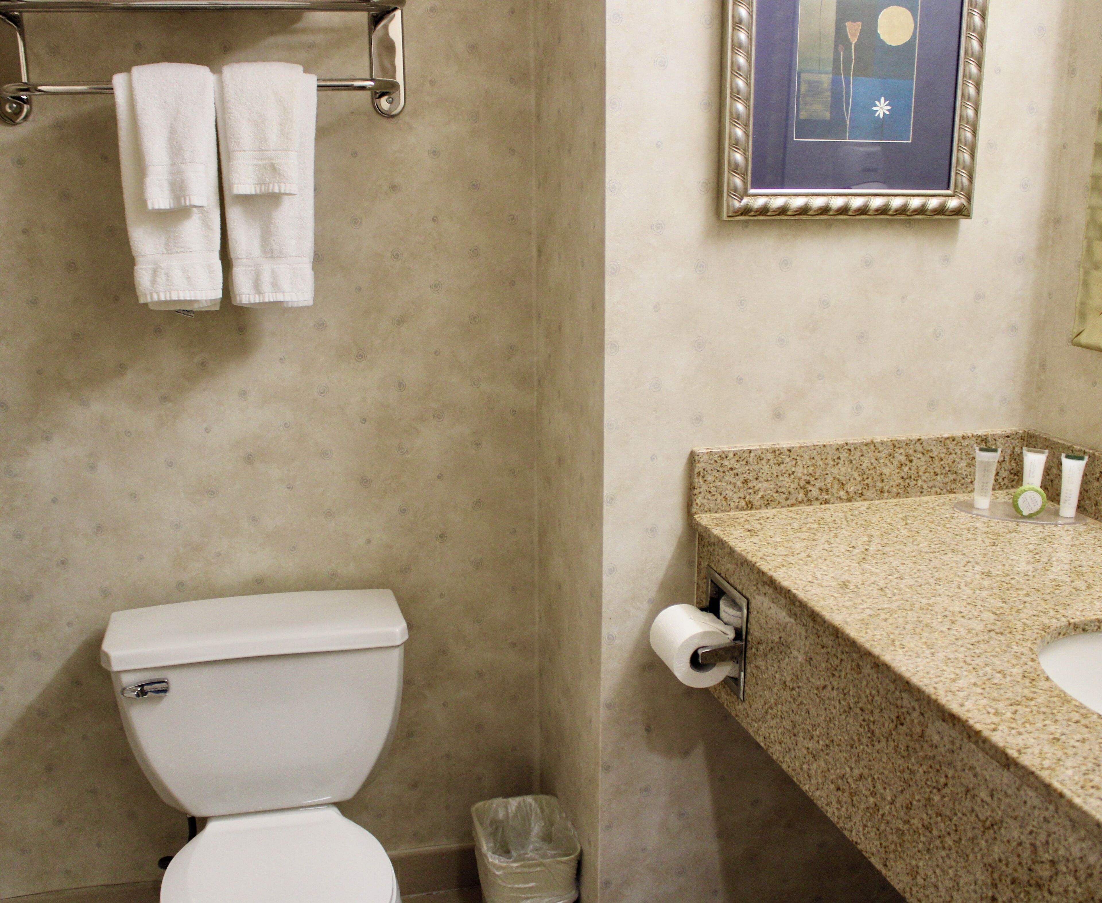 combined shower/bathtub, free toiletries, hair dryer, towels