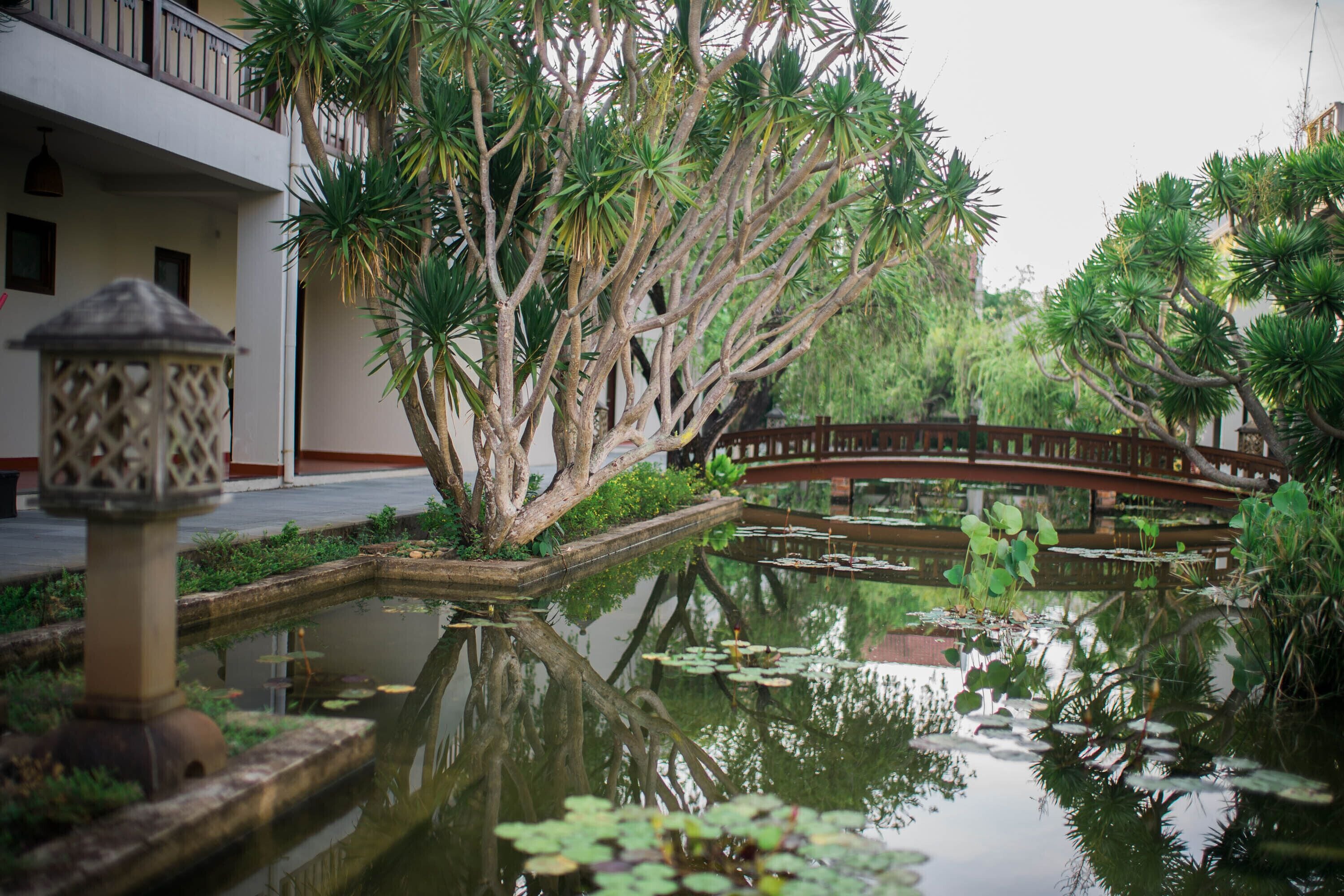 A tranquil garden with a pond, a wooden bridge, and a building with balconies.