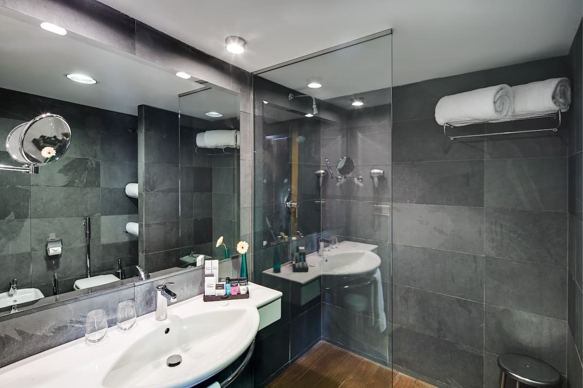 shower, free toiletries, hair dryer, towels