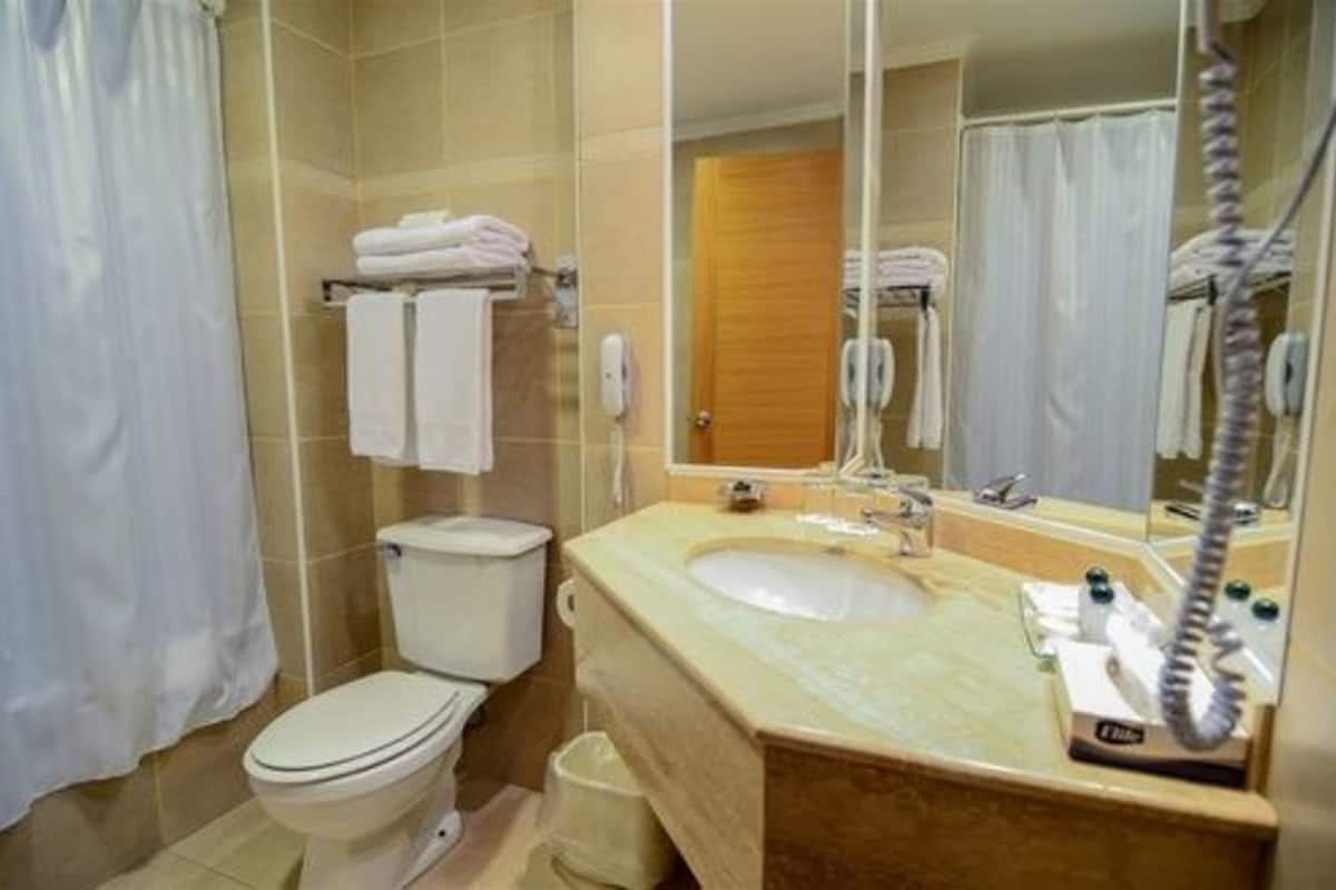 combined shower/bathtub, hair dryer, towels