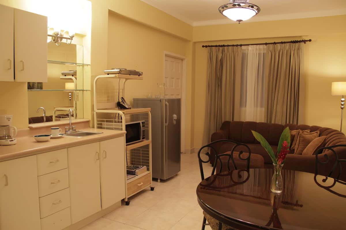 A compact living space with a kitchenette, a dining area, and a seating area with a sofa and a table.