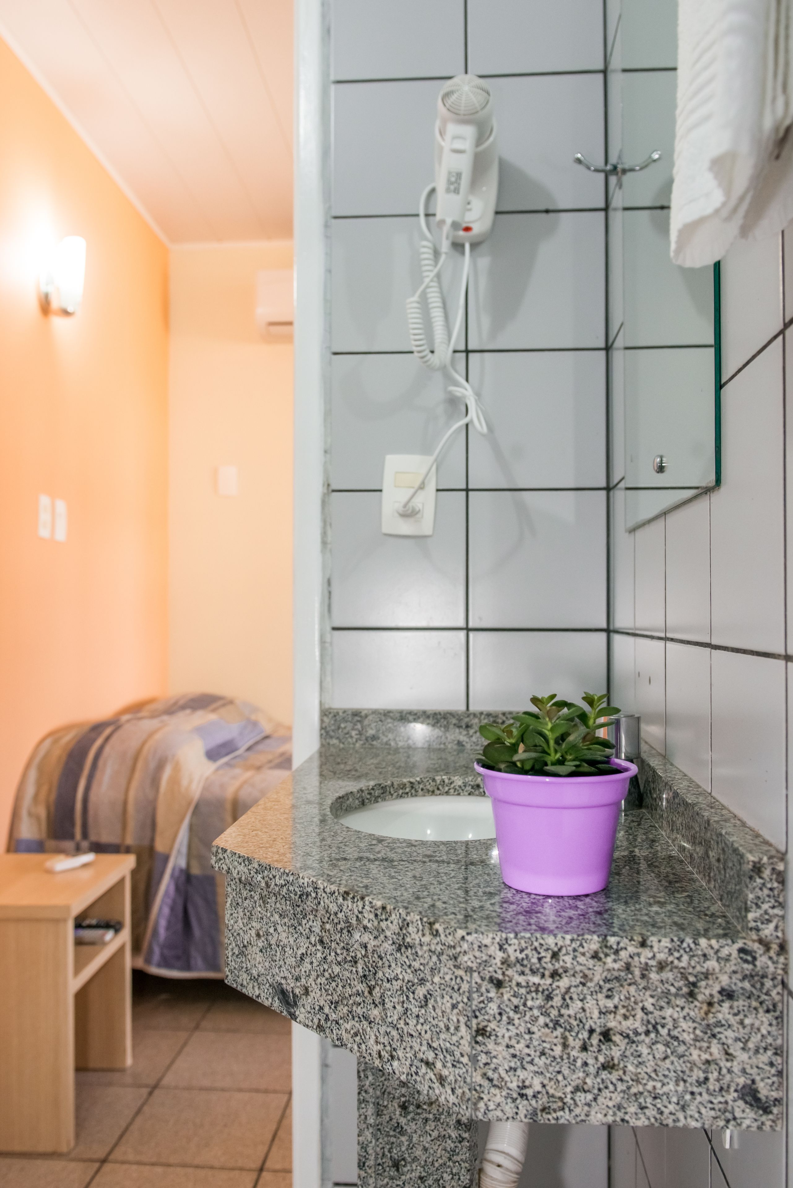 Casa de banho com bancada de granito, uma planta roxa, secador de cabelo e porta-toalhas.