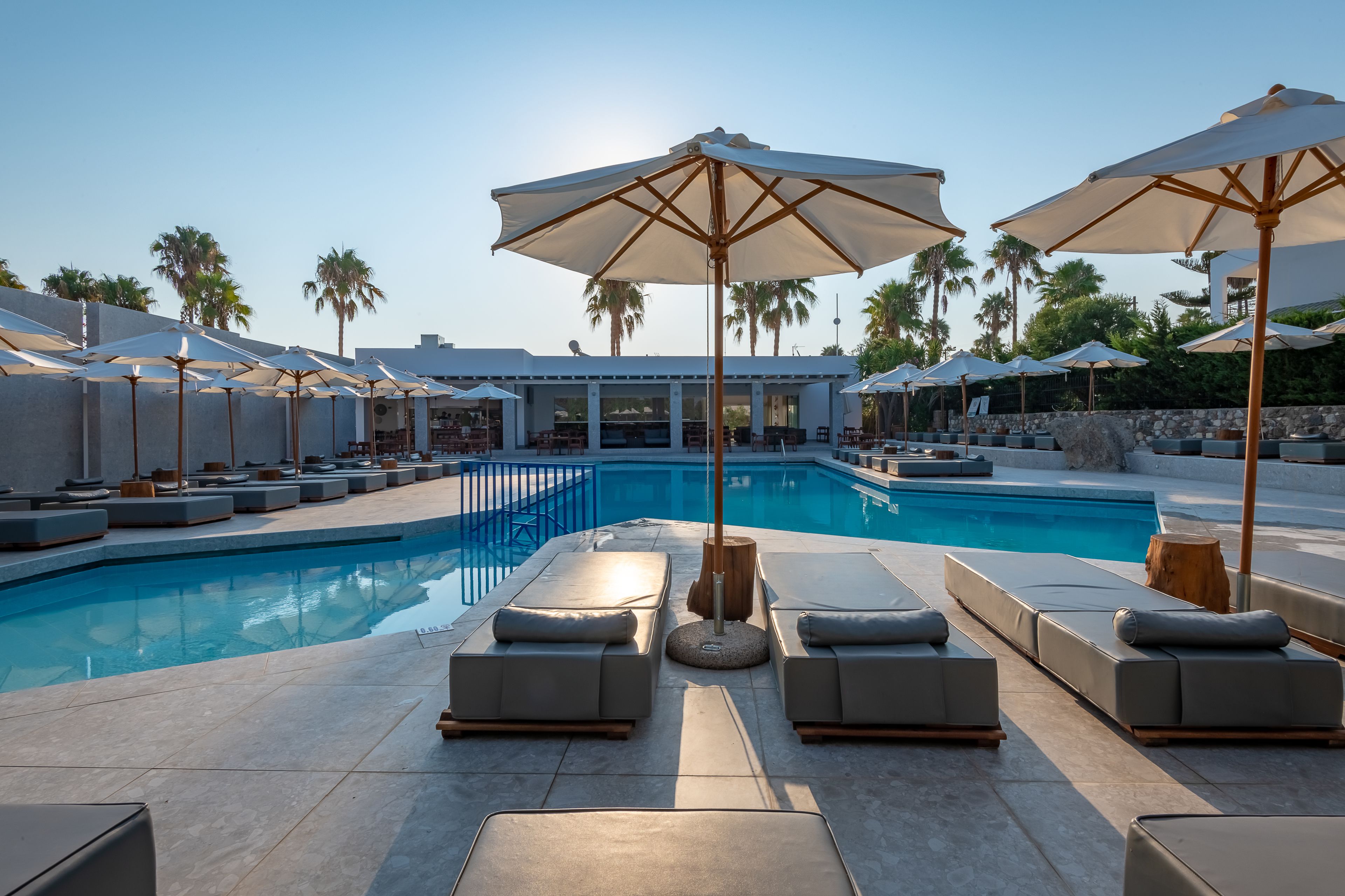 A poolside area with lounge chairs and umbrellas, a clear blue pool, and palm trees in the background.