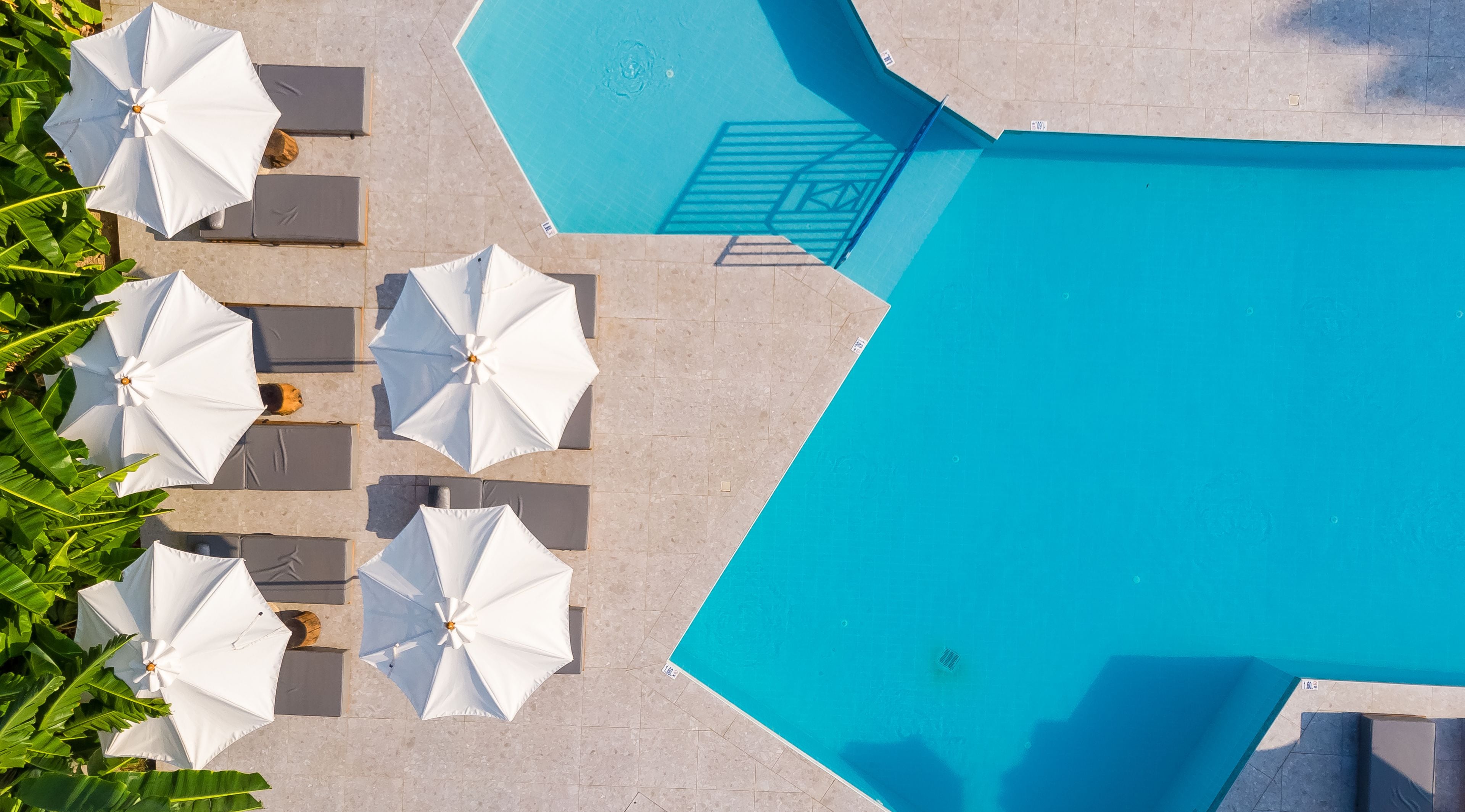Vista aérea de una piscina con sombrillas blancas y sillas de descanso, rodeada de vegetación.