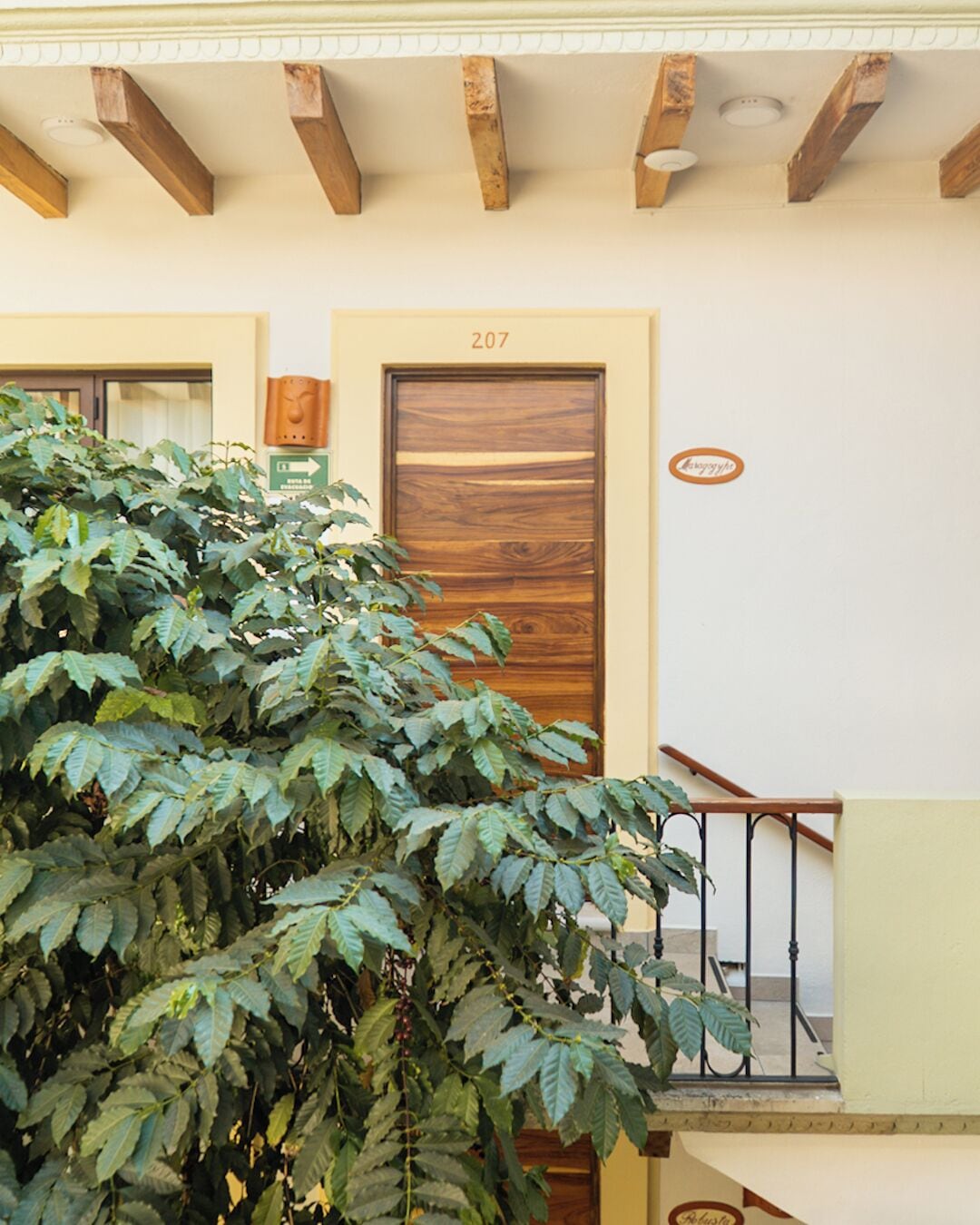 Foto - Hotel Casa Vertiz