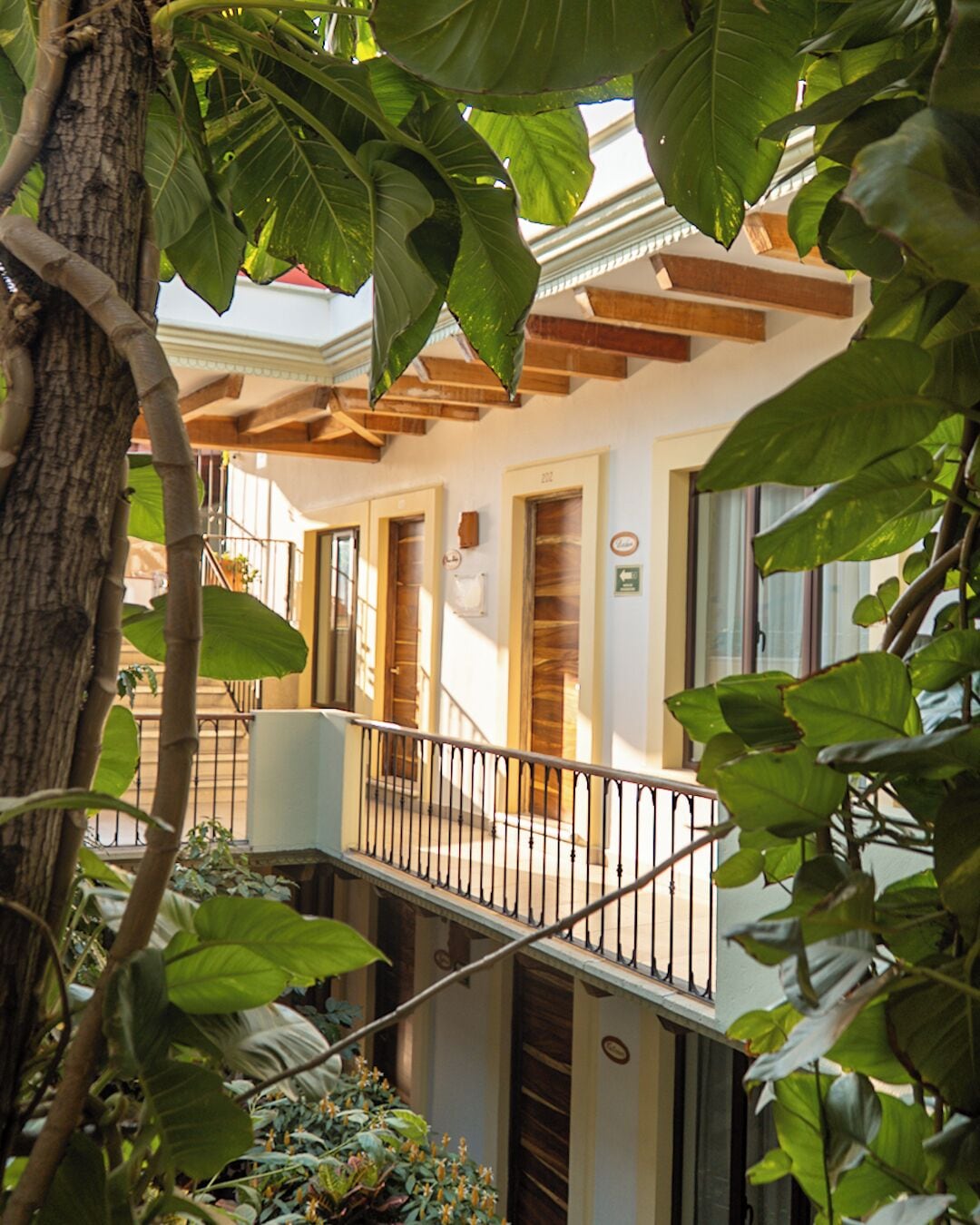 Foto - Hotel Casa Vertiz