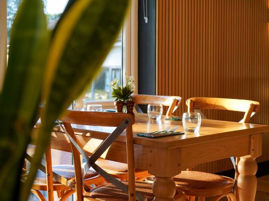 Una mesa de madera con sillas, una planta en maceta y un teléfono inteligente sobre la mesa.