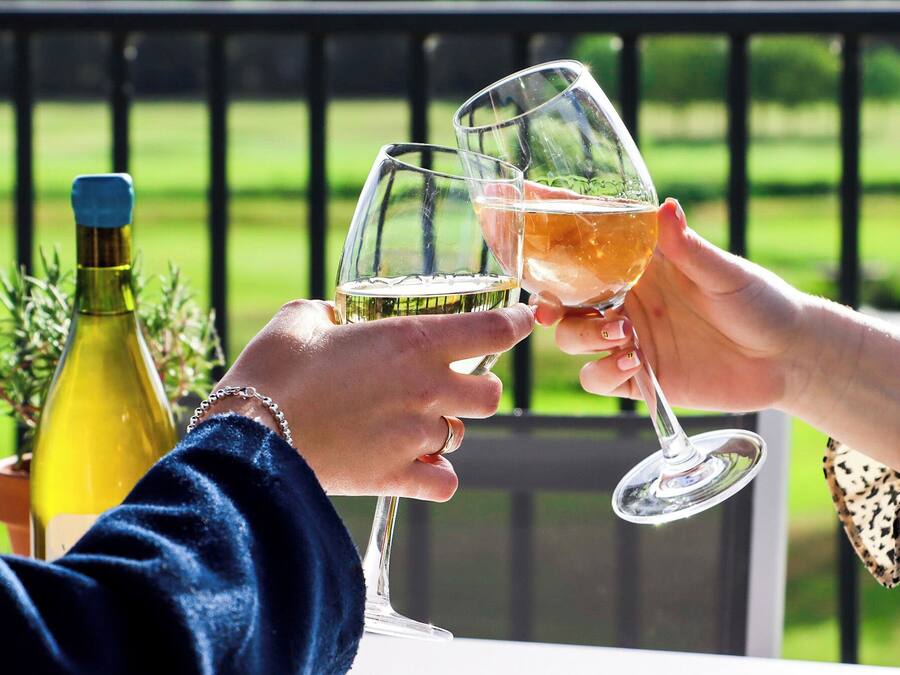 Two people toasting with wine glasses on a balcony with a bottle of wine and a plant in the background.