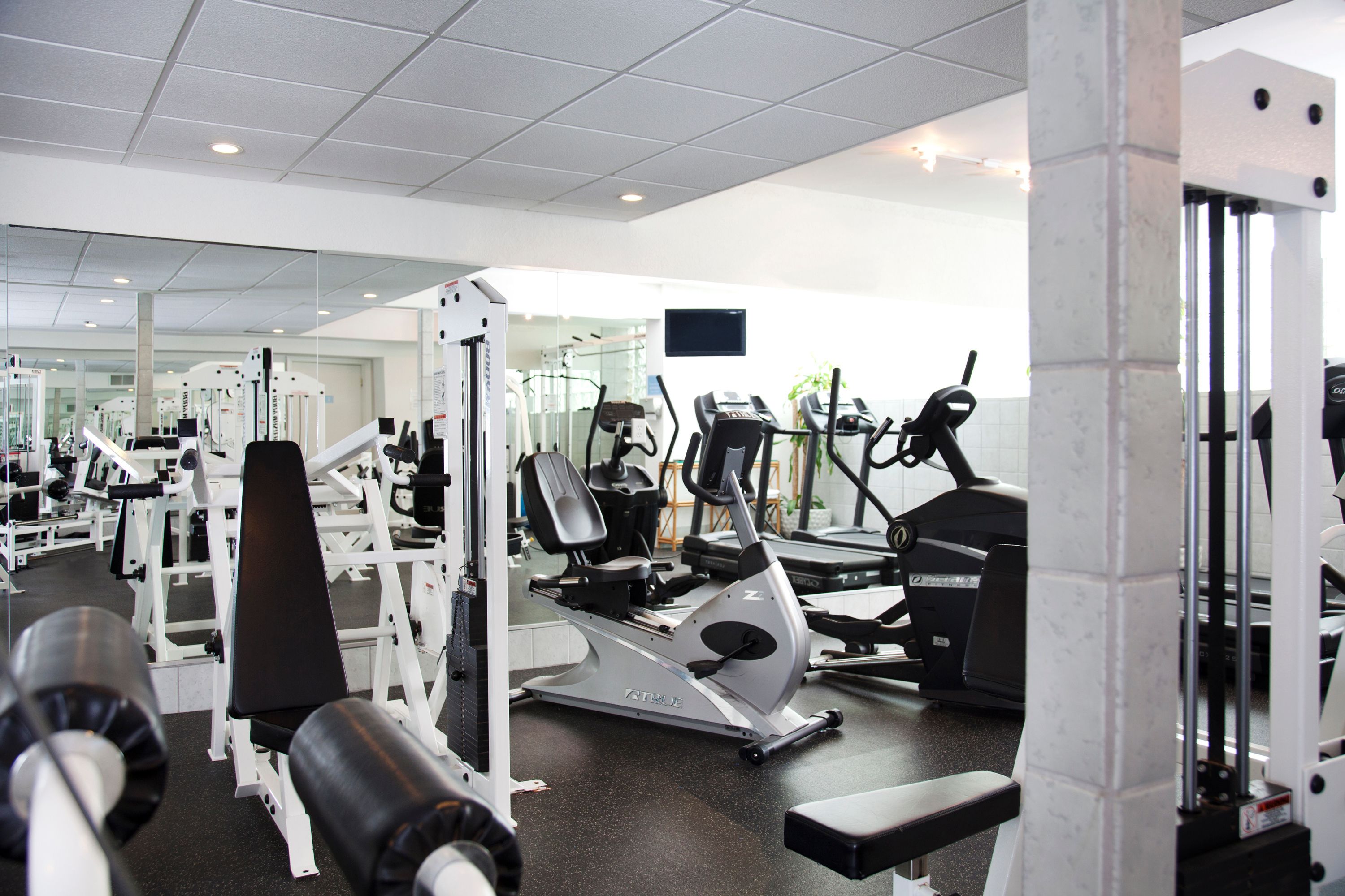 A gym with various exercise equipment, including treadmills, weight machines, and a rowing machine.