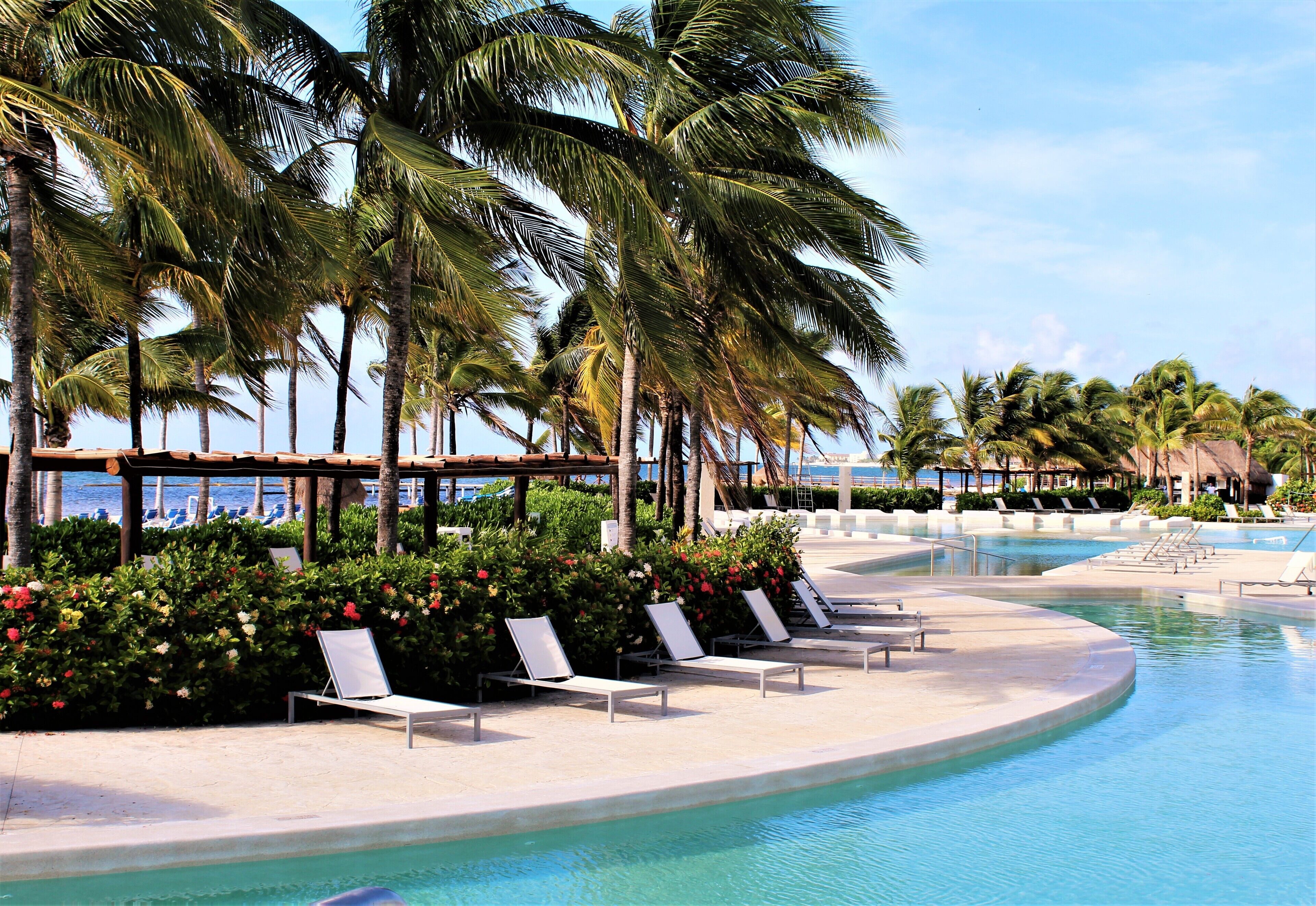 A poolside area with lounge chairs, palm trees, and a view of the ocean.