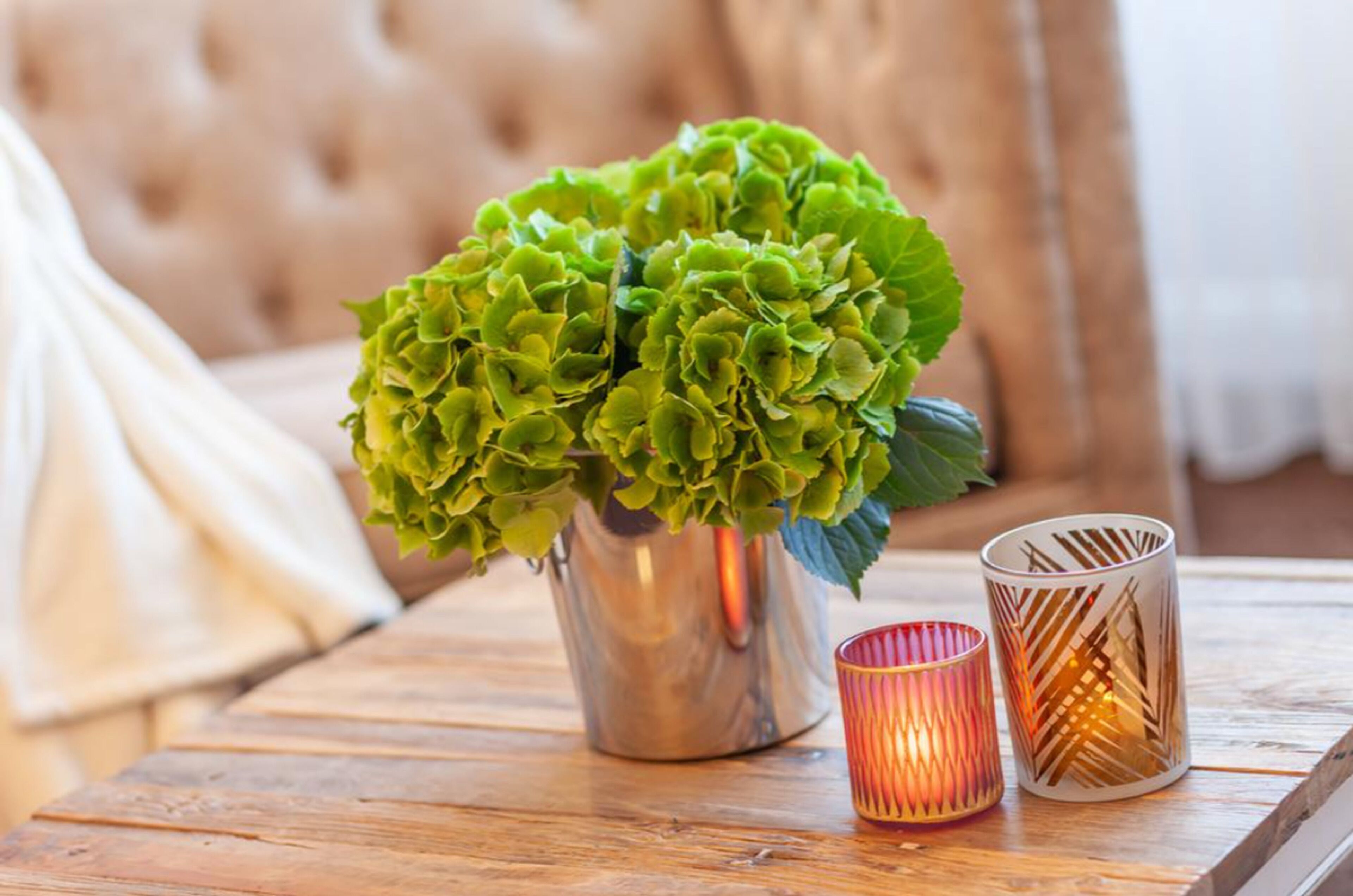 deluxe double room | room amenity