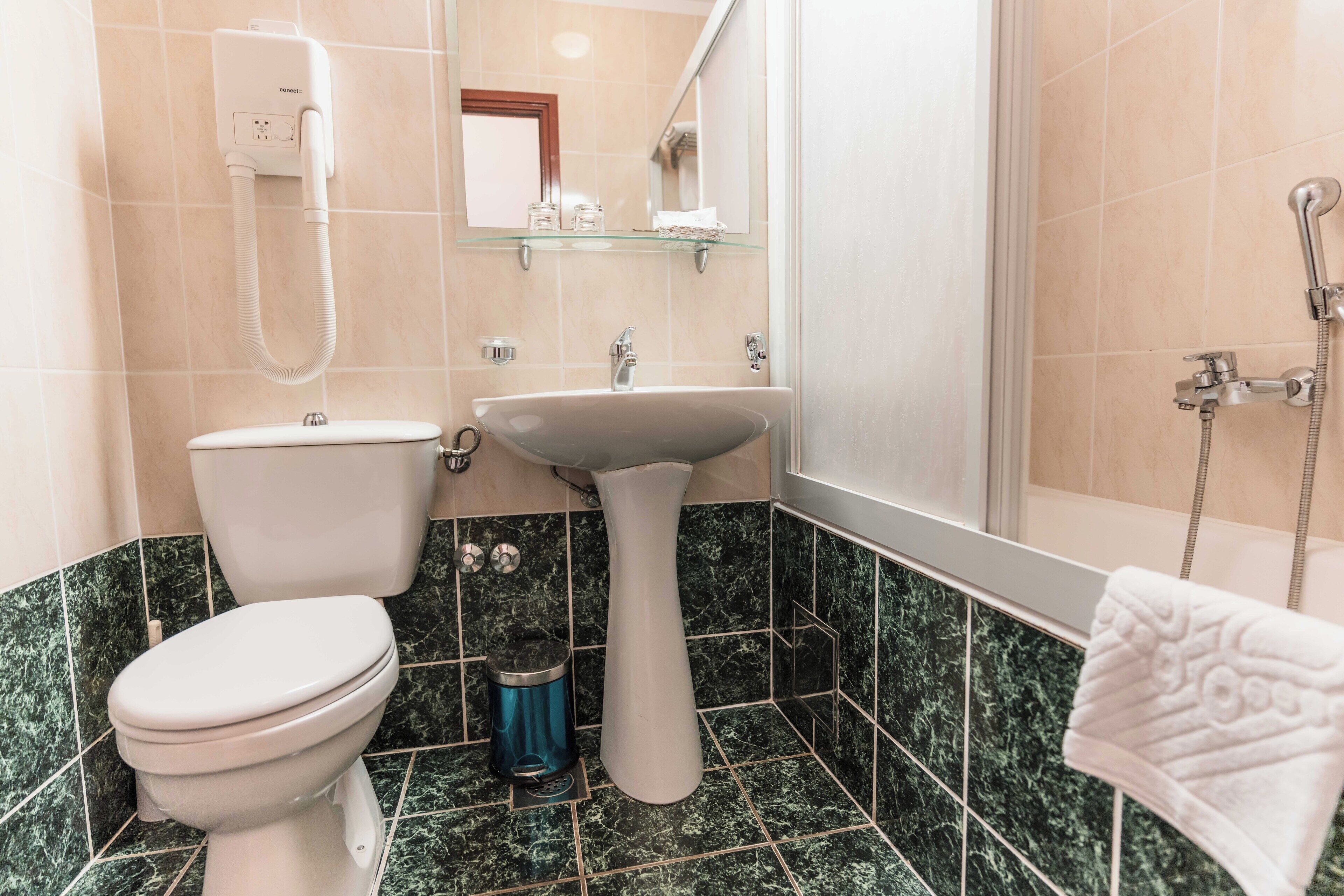 Une salle de bain avec des toilettes, un lavabo et une douche.