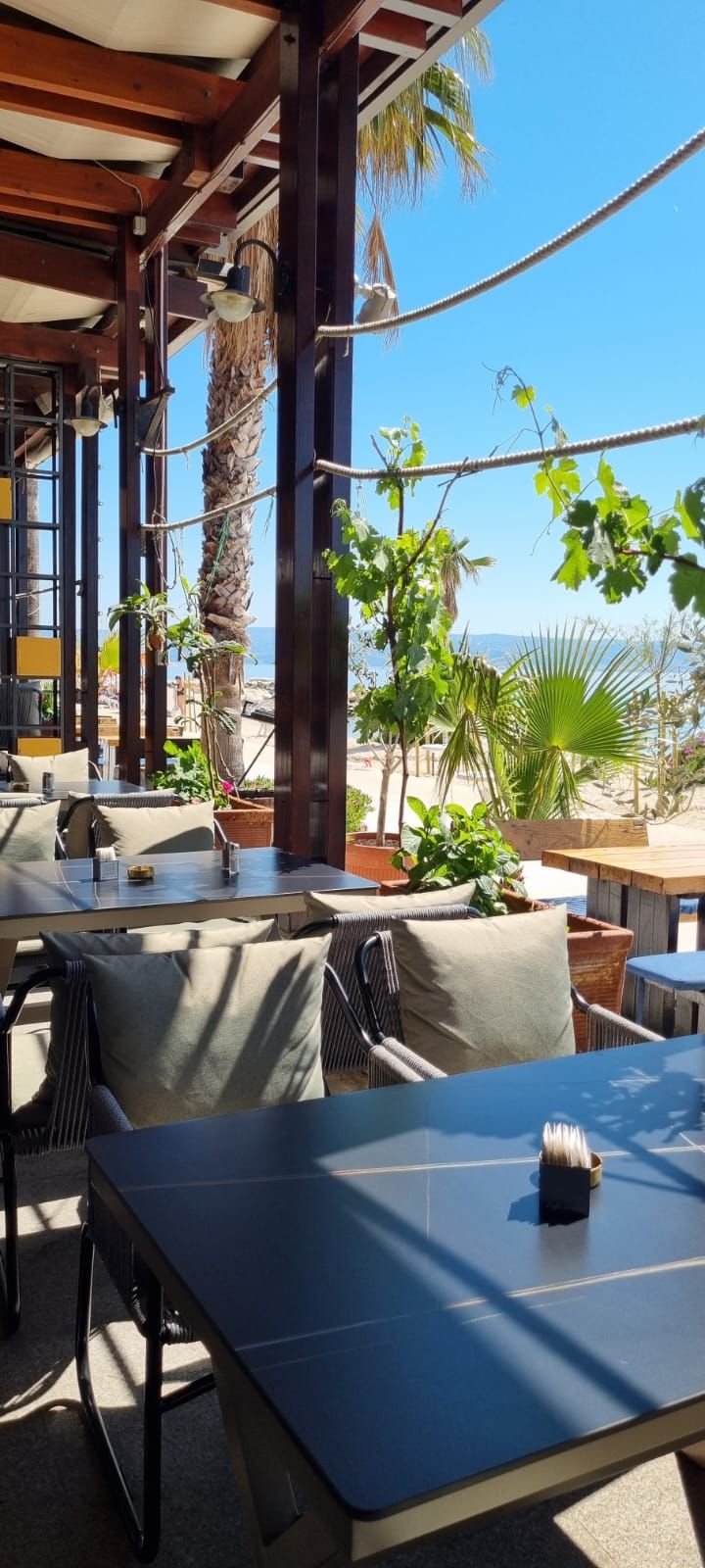 An outdoor seating area with tables and chairs, surrounded by plants and a view of the beach.