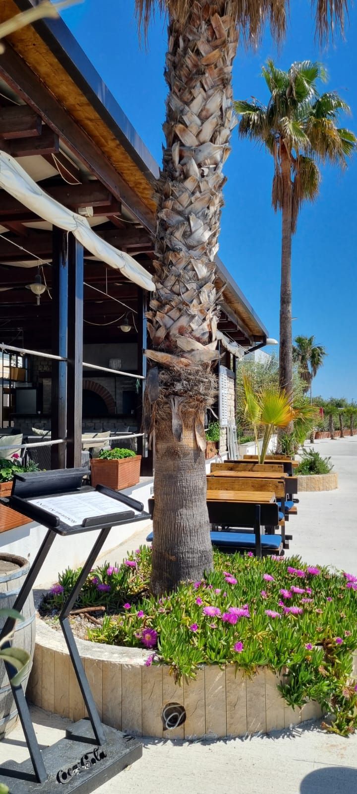 A restaurant with outdoor seating, palm trees, and a clear blue sky.