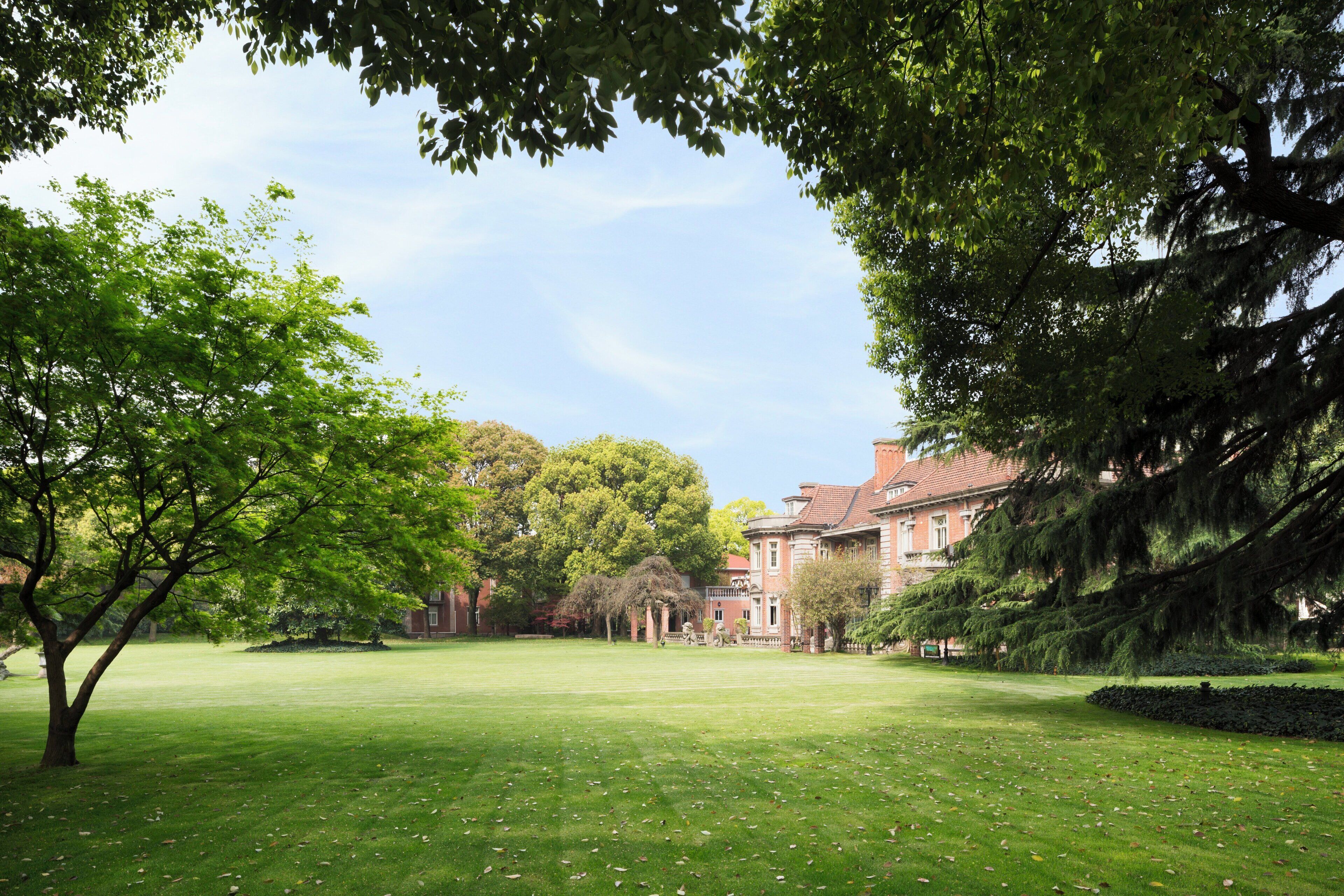 A well-maintained lawn with a large building in the background.