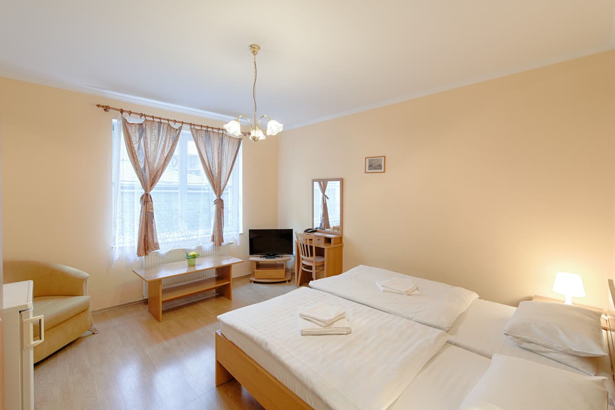 Standard Double Room (includes 15% off  for spa in Lazne 5) | In-room safe, desk, iron/ironing board (on request), cribs (free)