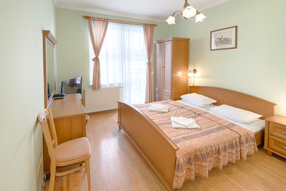 Standard Double Room Single Use (includes 15% off  for spa in Lazne 5) | In-room safe, desk, iron/ironing board (on request), cribs (free)