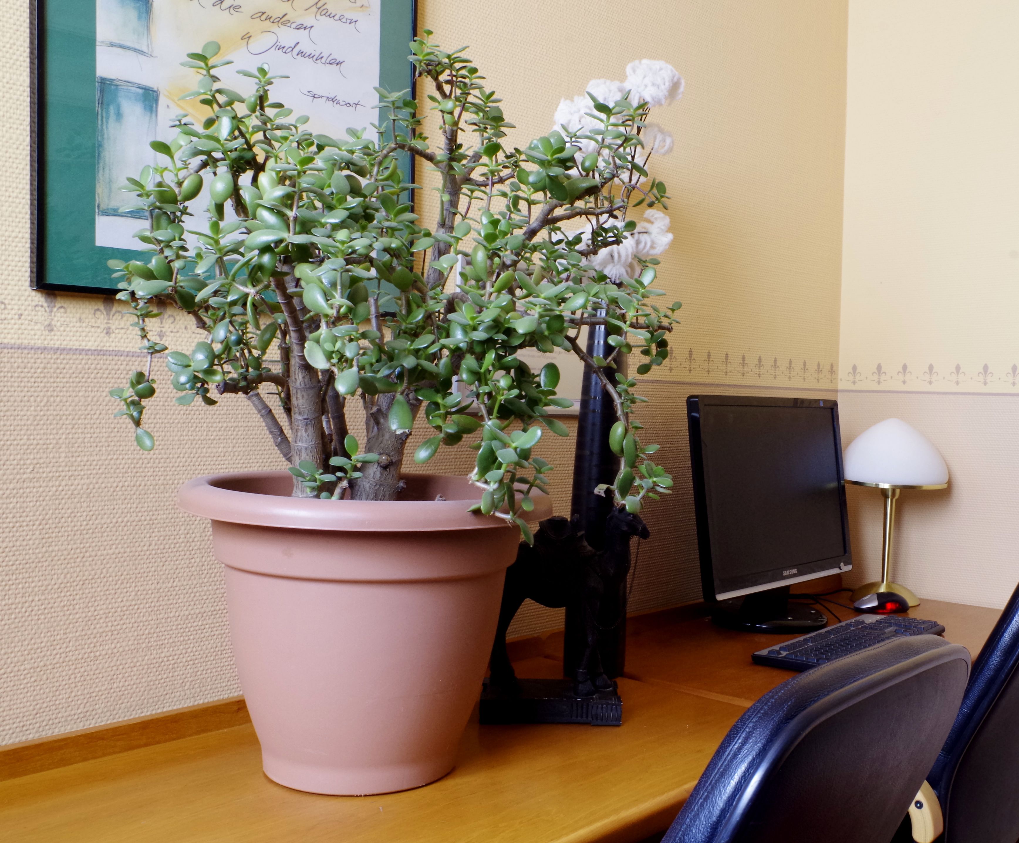 Photo - Hotel Merseburger Hof