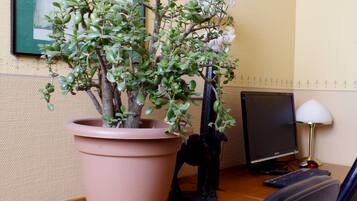 Une plante en pot posée sur un bureau, à côté d’un écran d’ordinateur et d’un clavier.