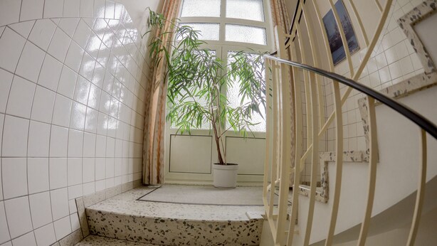 A staircase with a potted plant, a window with a view, and a tiled wall.