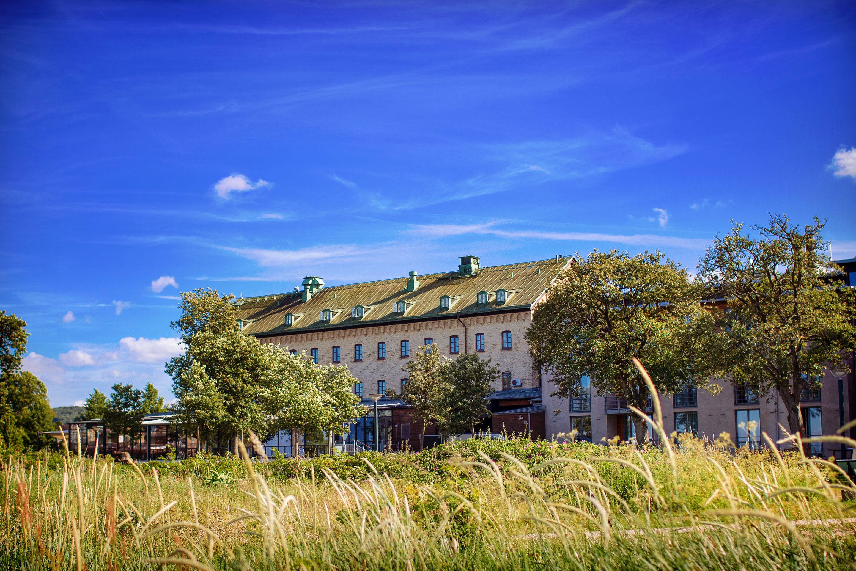 Grill- och picknickområde